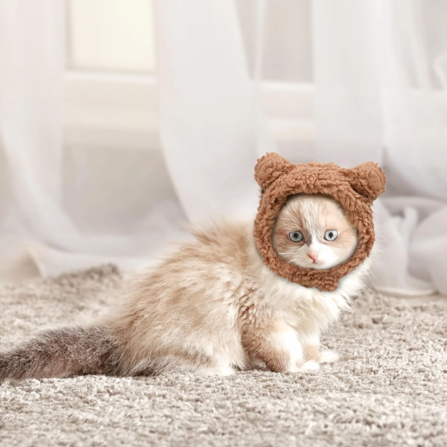 Bonnet d'hiver mignon pour chats chaud doux réglable marron