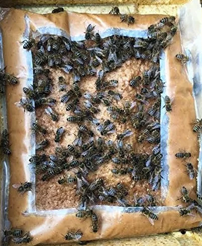 PROTEICO Nourriture pour Apiculture 1 kg
