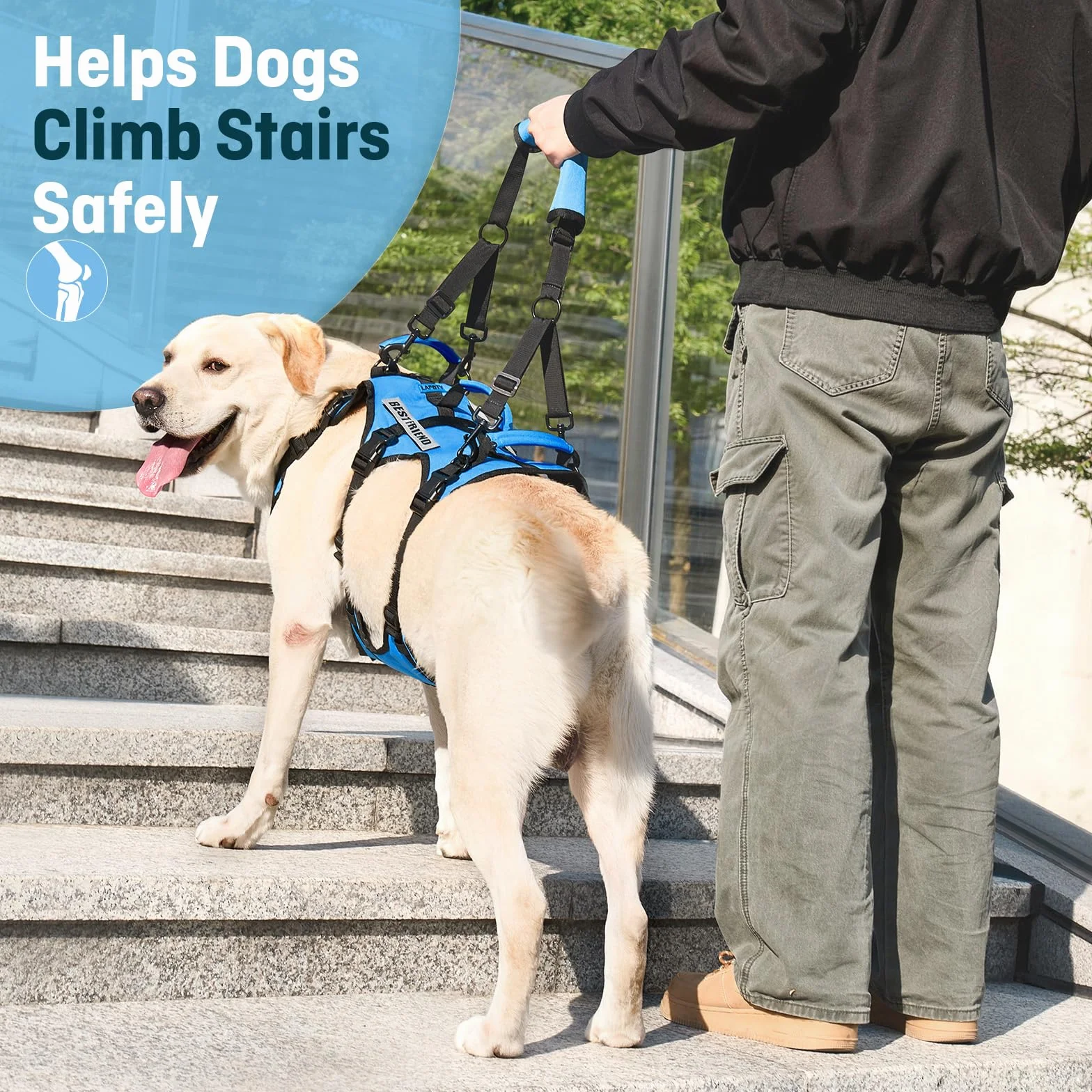 Harnais de Levage pour Grand Chien, Soutien Complet avec 3 Poignées, Sangle d'Épaule, Aide à la Marche pour Chiens Seniors, Arthrite, Bleu, XL