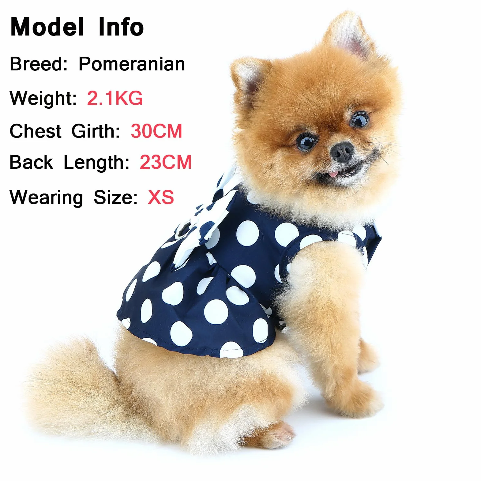 Robe harnais à pois pour petit chien et fille avec anneau en D et nœud – Vêtement respirant pour chihuahua, yorkshire, chat