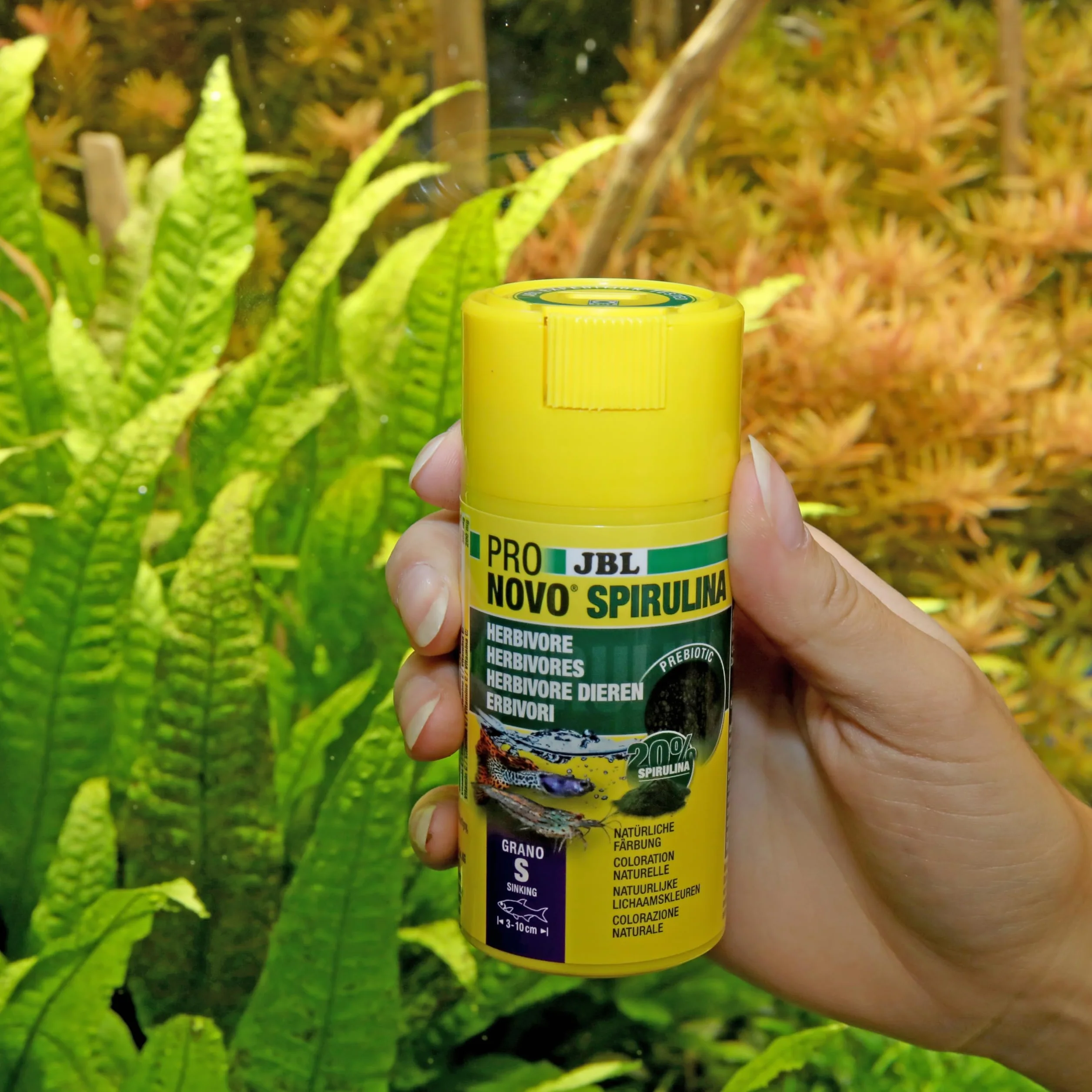 JBL PRONOVO SPIRULINA GRANO S 100ml CLICK