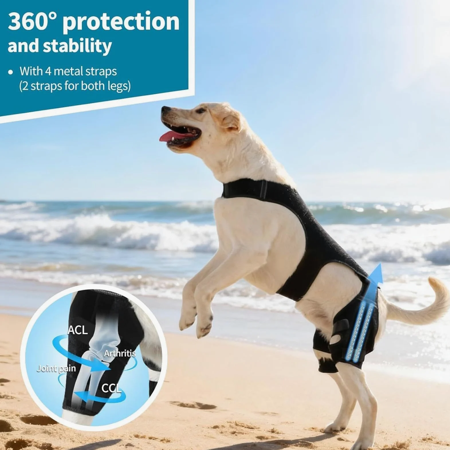 Genouillère Pour Chien Bandage Articulaire Réglable | Avec 4 Stabilisateurs Métalliques Support Pour Patte Arrière Pour Randonnée Exercice Activités Extérieures Parc Plage