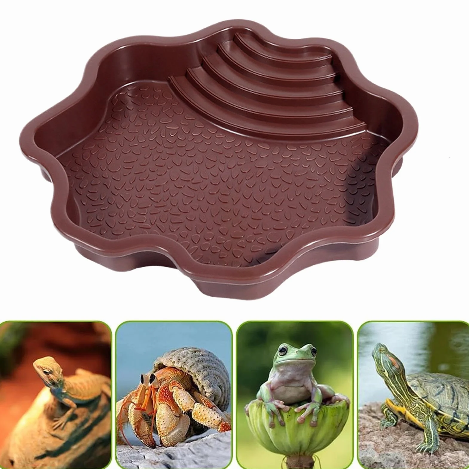 Plat à tremper pour reptiles, bol d'eau et nourriture avec marches pour tortue de piscine