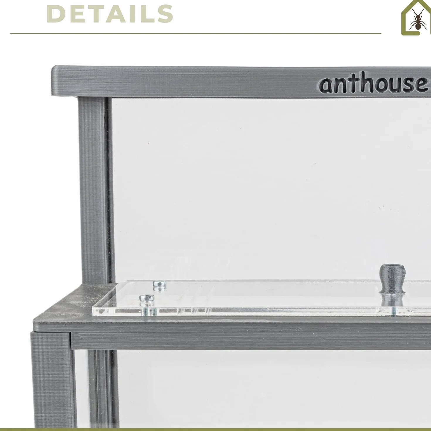 AntHouse Fourmilière de Sable Naturel 3D Modèle L Gris avec Colonie de Fourmis
