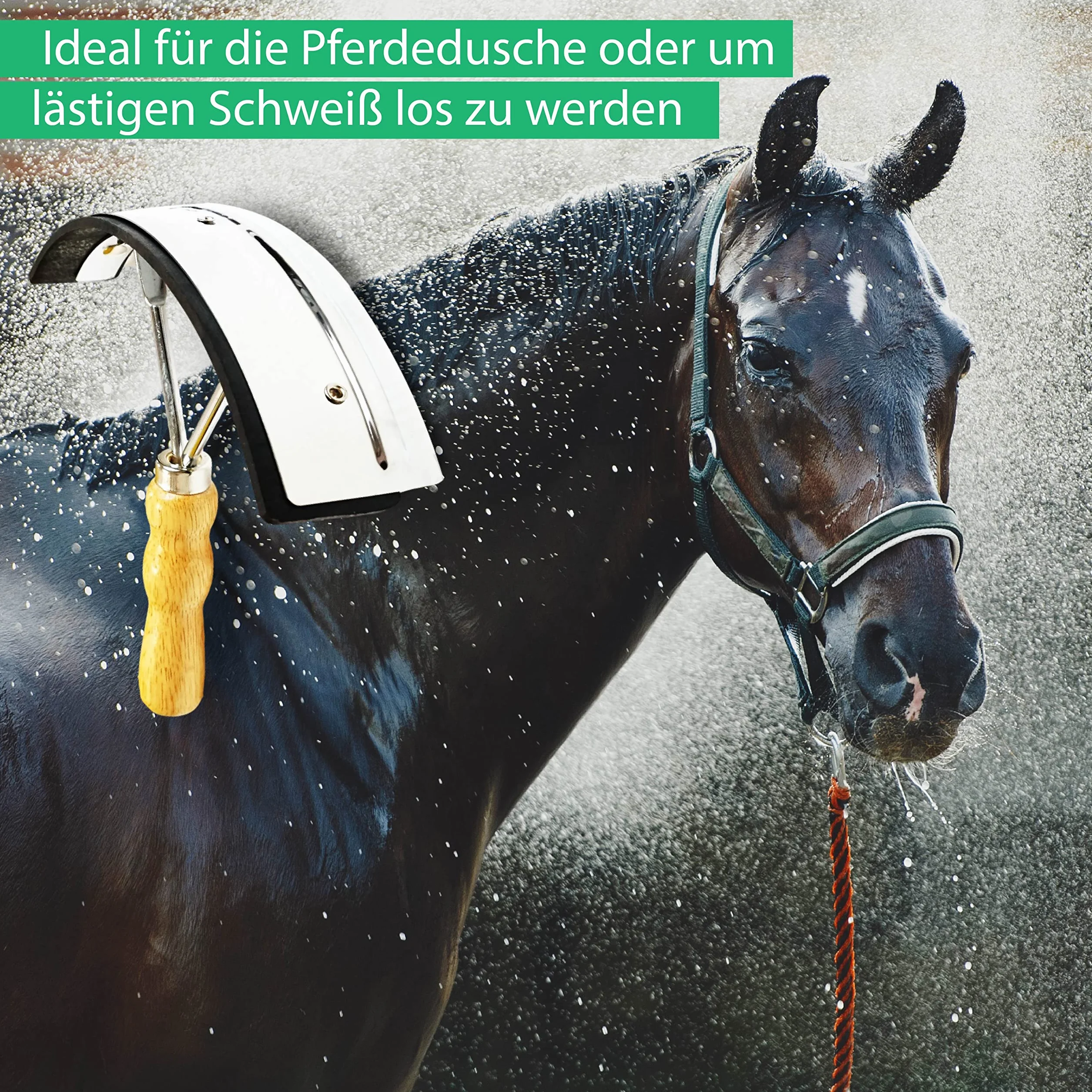 Couteau à souder en Acier Inoxydable avec poignée en Bois pour Cheval et raclette 2 en 1 Pferdelinis