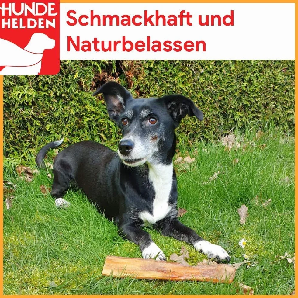 Sabots de bœuf Fabrication allemande Lot de 50 pour chiens