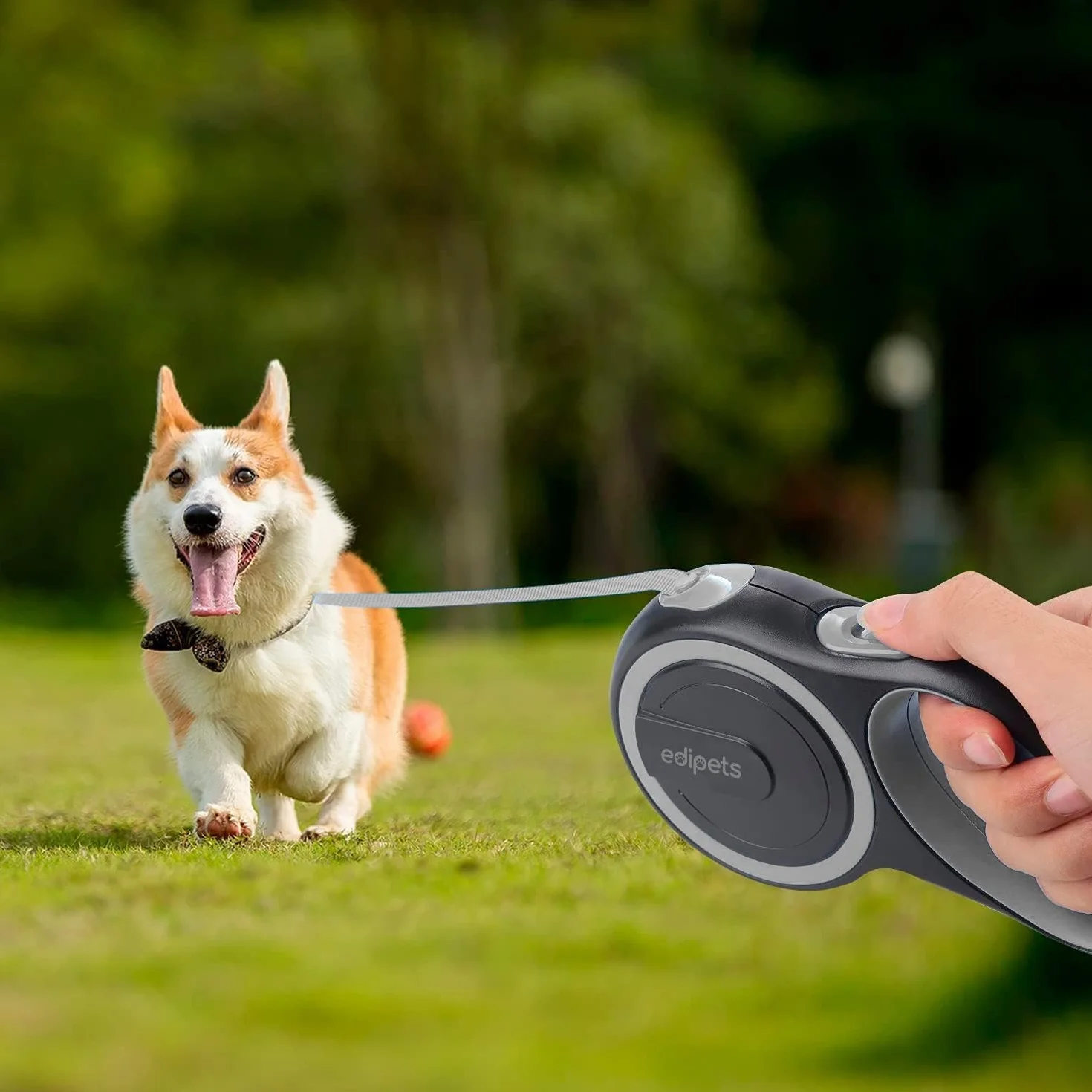 Laisse Chien Rétractable Edipets 8 Mètres Flexible Dressage Promenade