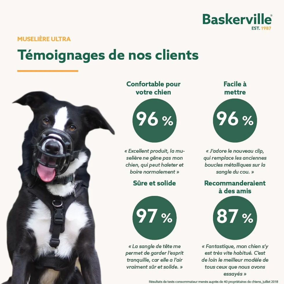 THE COMPANY OF ANIMA Baskerville Ultra Muselière pour Chien Noir 5 Retriever