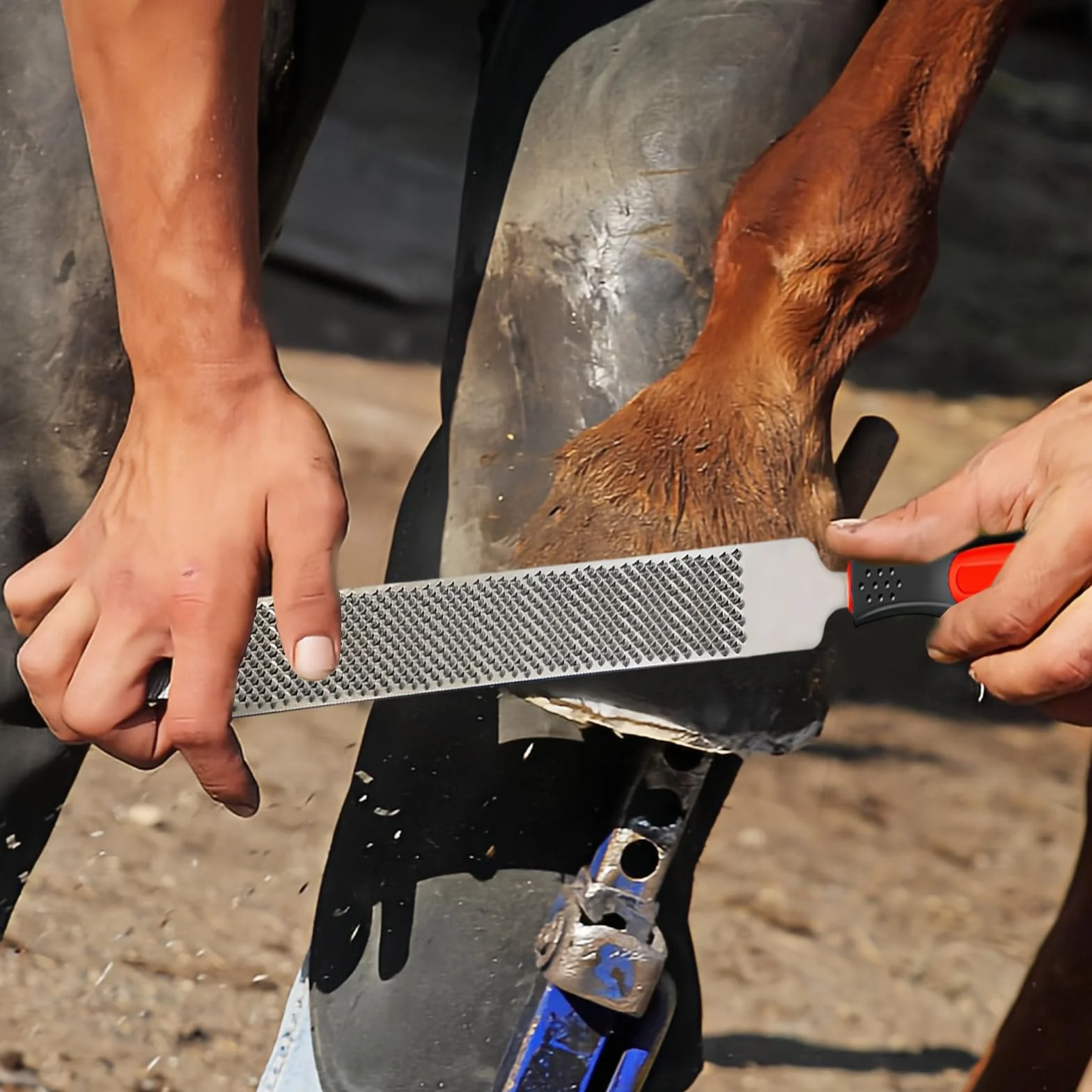 Couteau à Sabot à Double, Acier en Carbone Sabots Outil de Coupe, Lime à Sabot Double Face, avec des Poignées, pour Les Soins des Sabots pour Les Chevaux, Les Moutons et Les Bovins