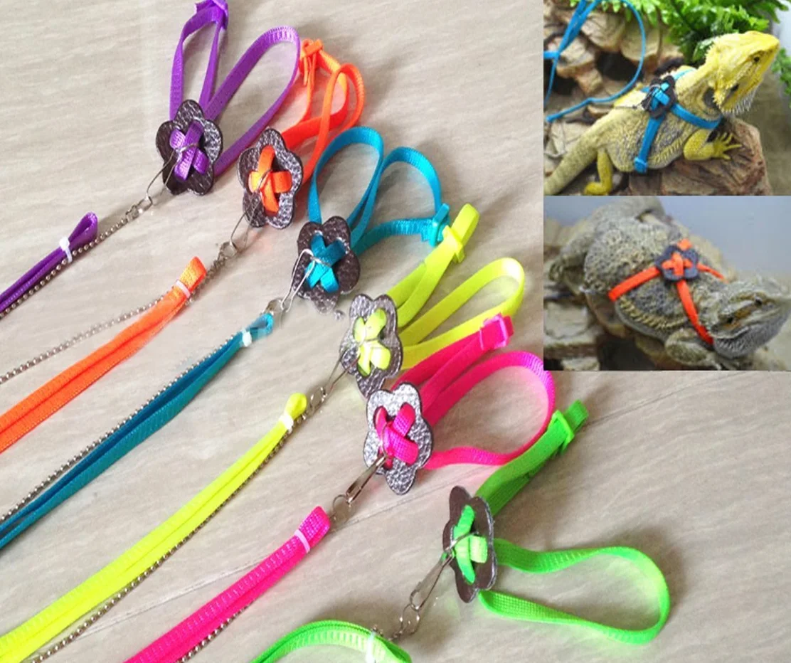 Laisse réglable pour reptile et lézard Multicolore