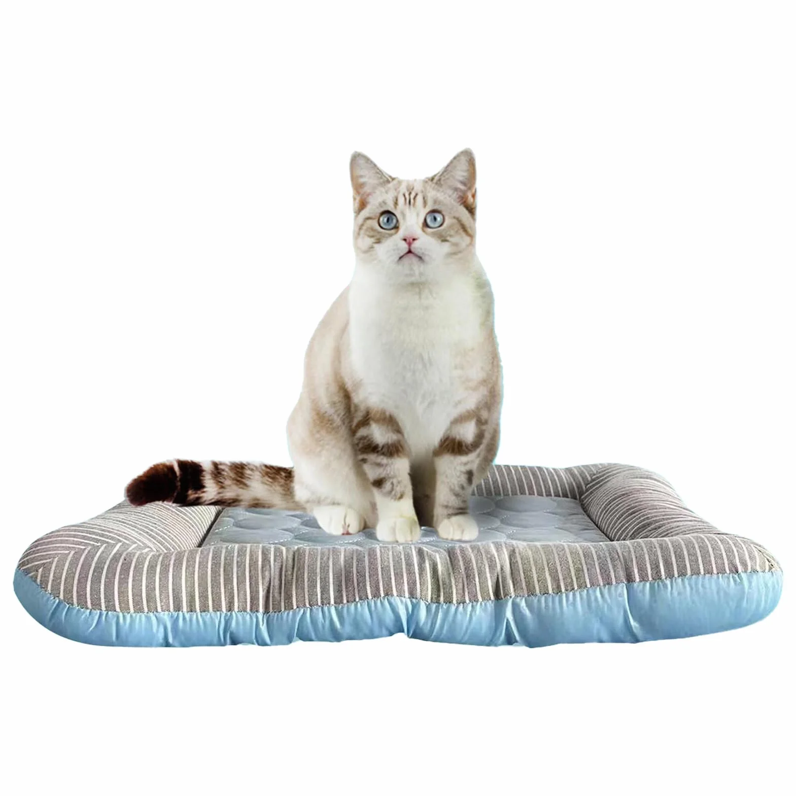 Lit Rafraîchissant pour Chats - Tapis Frais pour Animaux, Coussin Résistant pour Cages Rafraîchissant Chiens Moyens Chiots Lapins