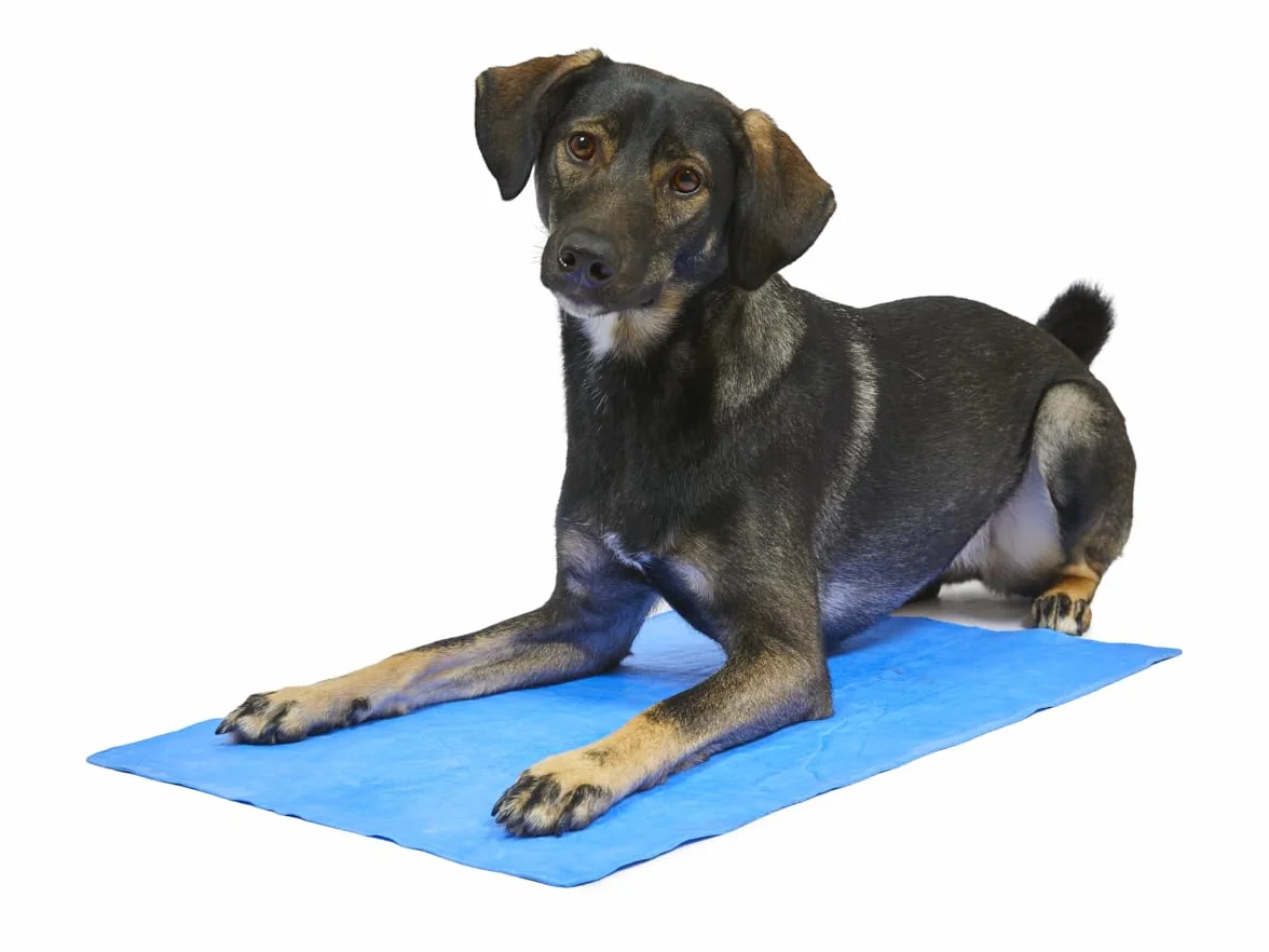Petface Serviette rafraîchissante pour Animal de Compagnie Bleu 66 x 43 cm