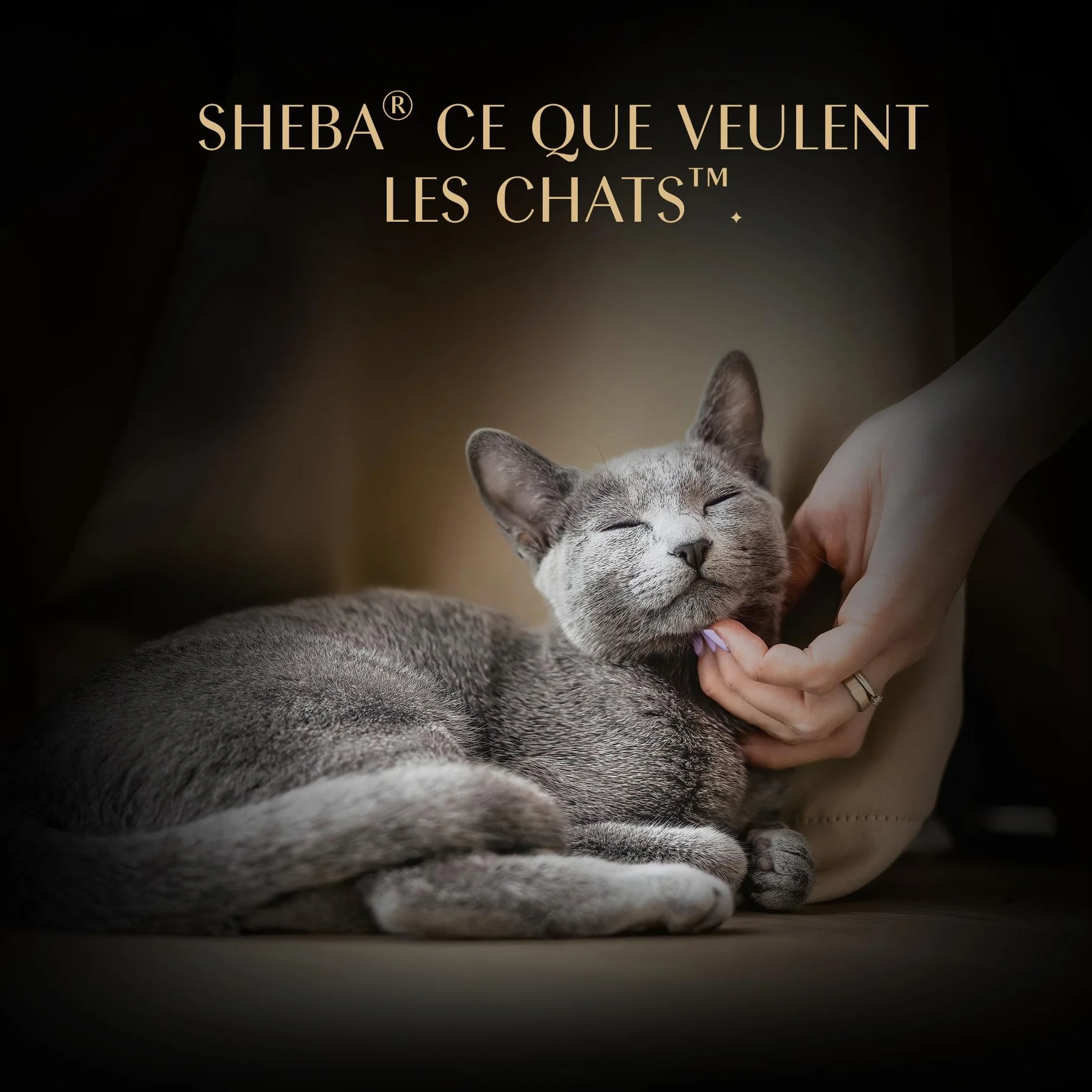 SHEBA Soupe Sachet de Nourriture Humide pour Chat Adulte au Poulet, Pack de 40 (10 x 4 x 40 g)