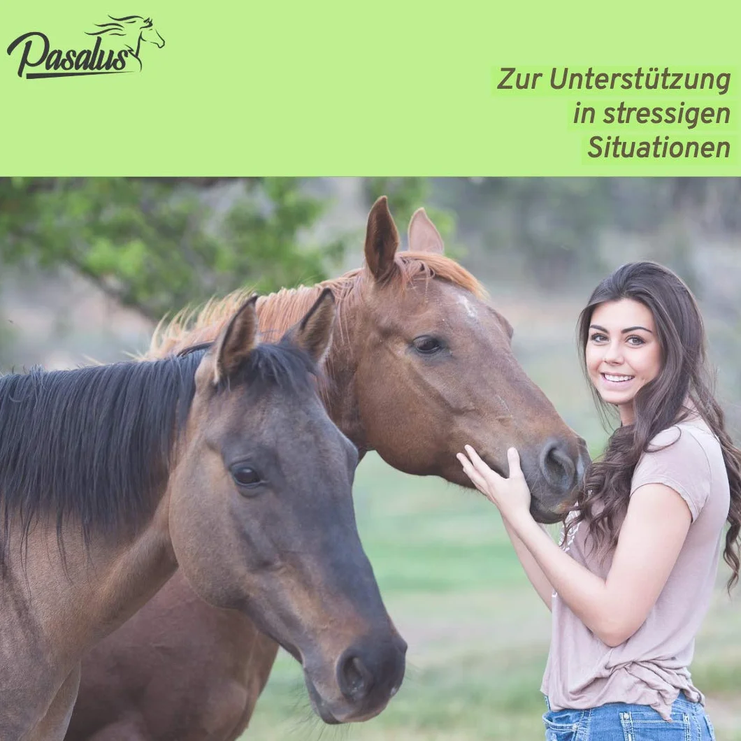 Dés de sucre de canne et fleurs de Bach pour chevaux peureux, stressés et craintifs Pour les concours, les entraînement ou les voyages