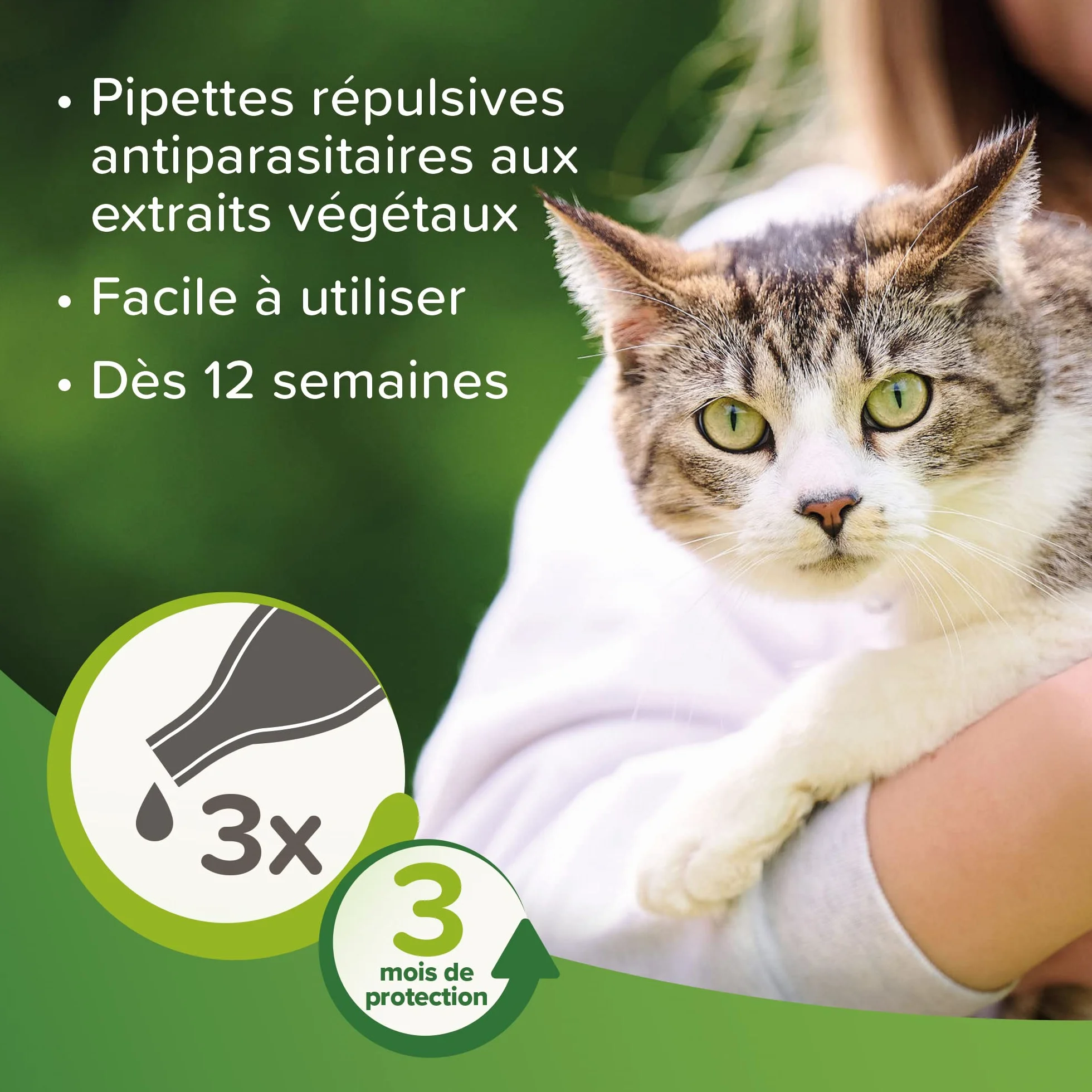 Beaphar VETOPURE Pipettes répulsives antiparasitaires pour Chaton Extraits de Margosa Protection 3 Mois 3 pipettes