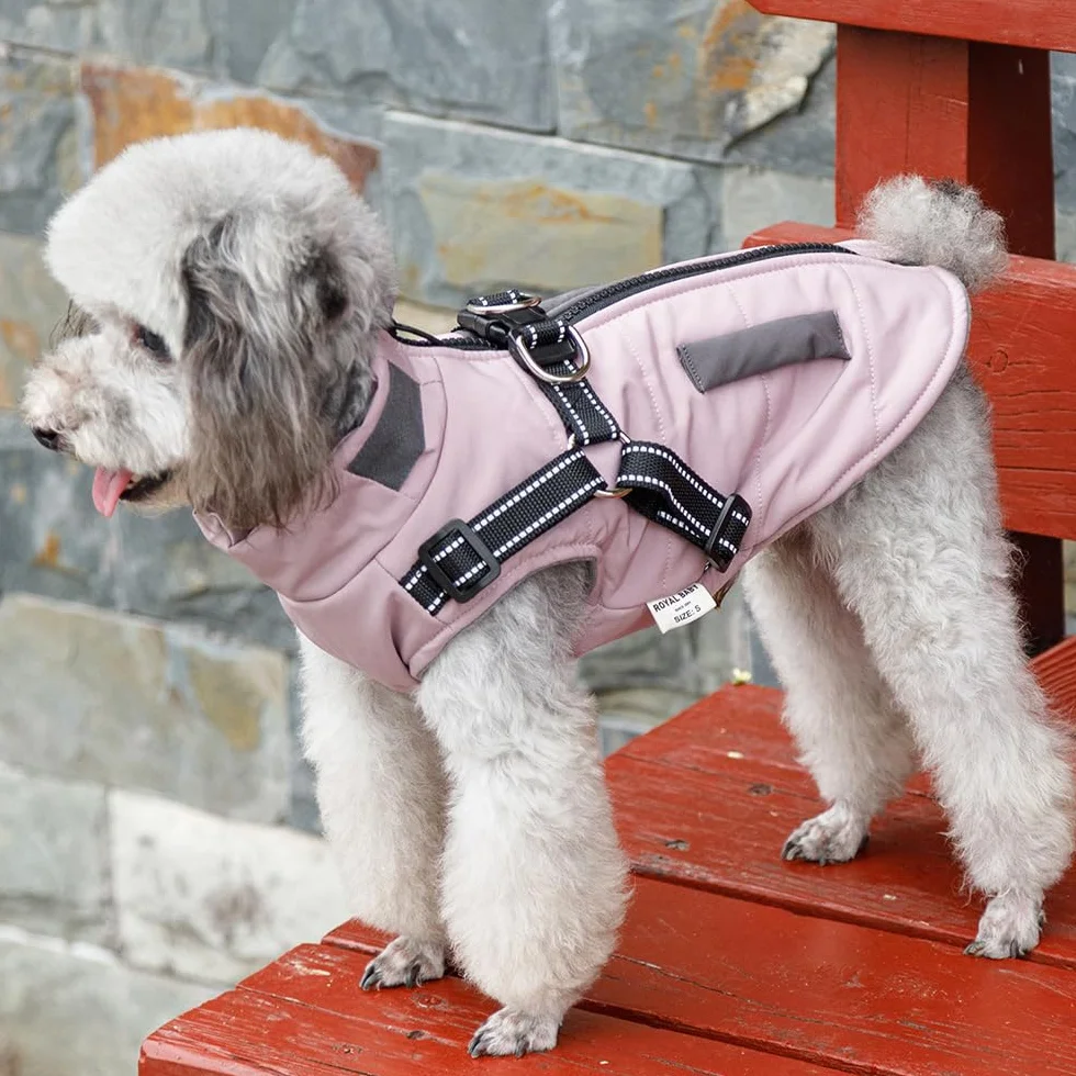 Veste d'hiver imperméable pour chien avec harnais réfléchissant, petite et moyenne taille