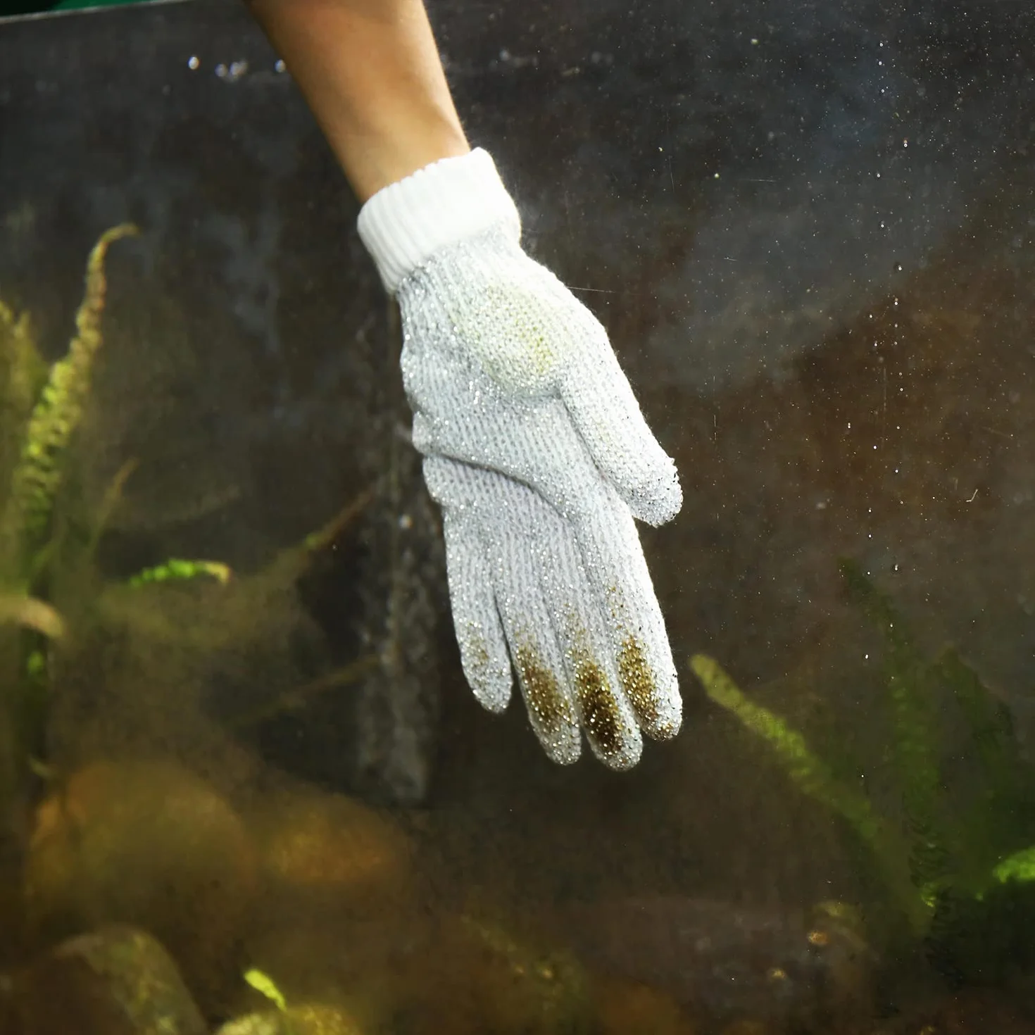 JBL Proscape Cleaning Glove Gant nettoyage aquarium