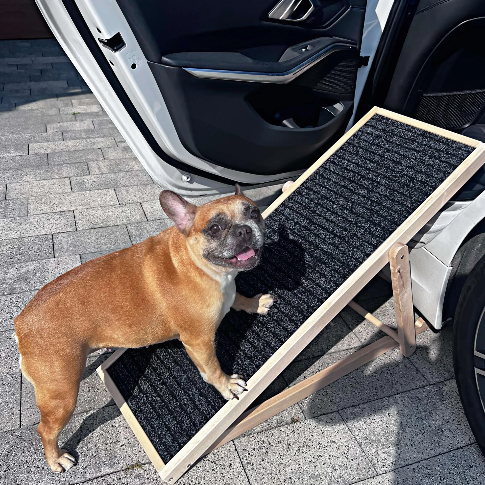 SPRINGOS Rampe pour chien réglable 42,5-59 cm pliable en bois avec insert antidérapant