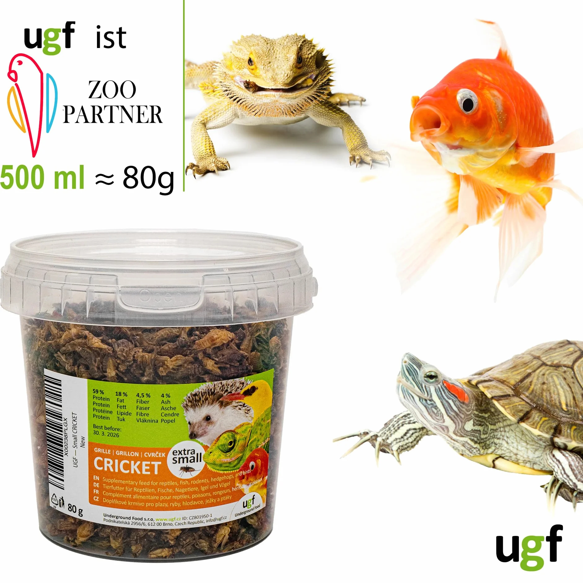 UGF - Grillons séchés (Petits) - 80 g en Pot de 500 ML, Insectes, Nourriture pour Oiseaux Sauvages (Toute l'année), Tortues, hérissons, lézards, Poissons