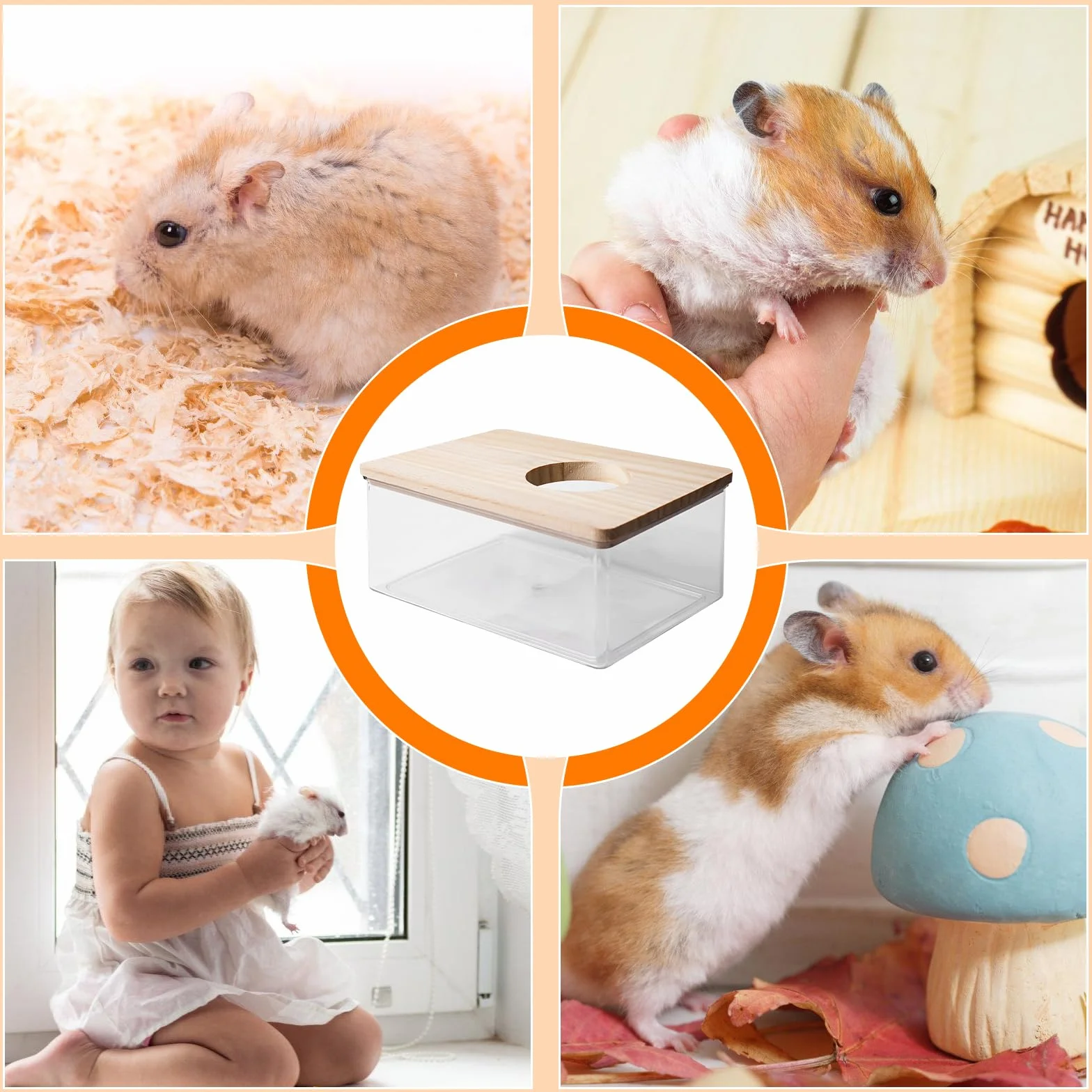 Hamster Salle de bain de sable transparent avec échelle et pelle, carré