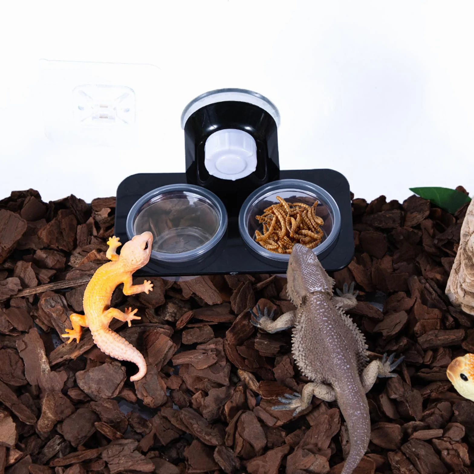 Bol Alimentation Gecko Reptile Feeder Ventouse 32 Tasses Interchangeables