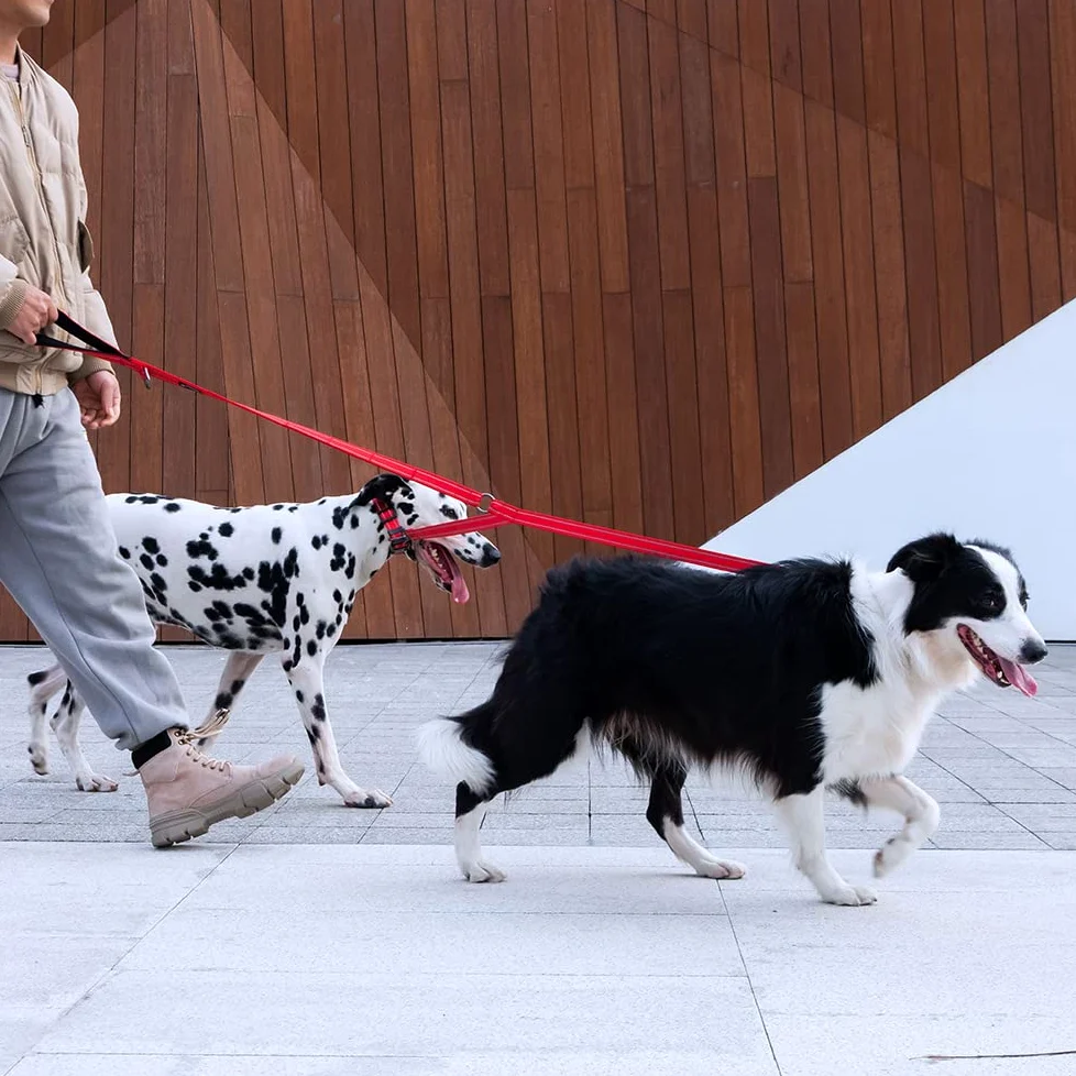 EXCELLENT ELITE SPANKER Laisse double réfléchissante en nylon avec poignée rembourrée pour deux chiens - Rouge