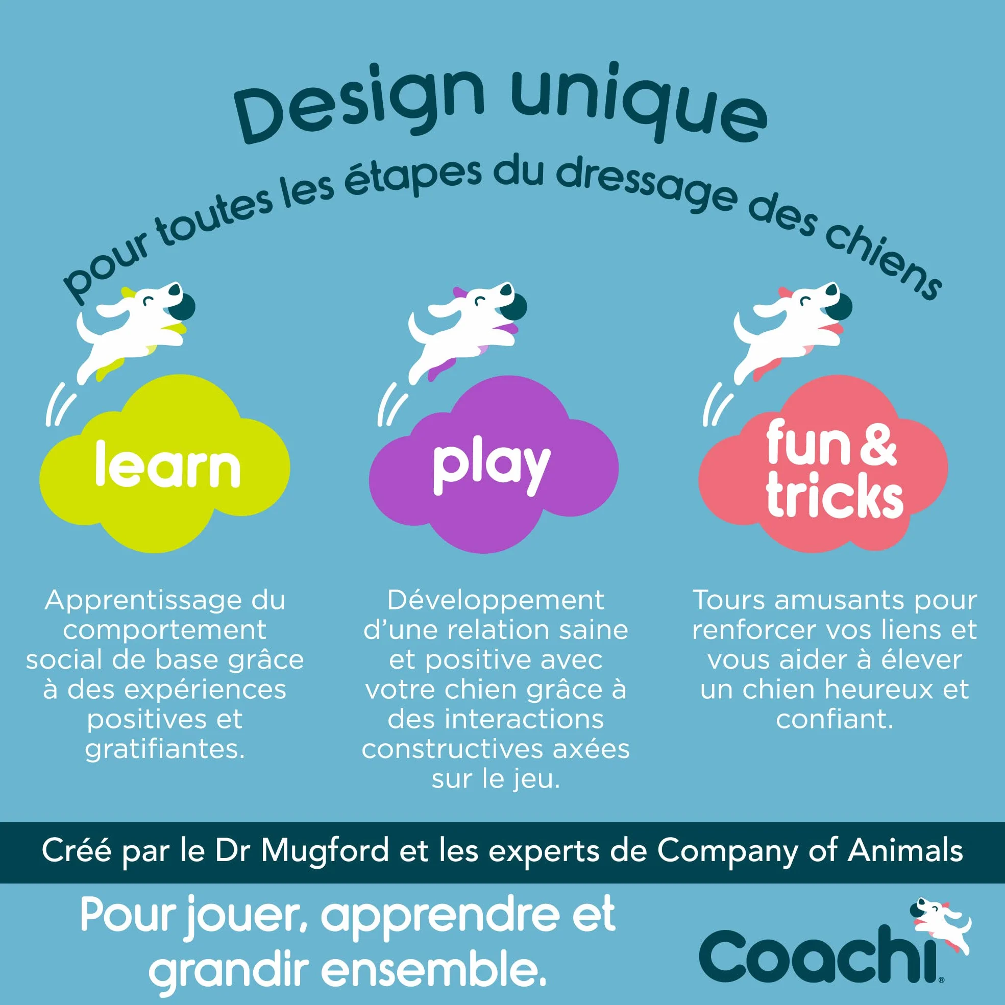 Coachi Canvas Training Dummy à Lancer pour Dressage de Chiots et Chiens de Chasse