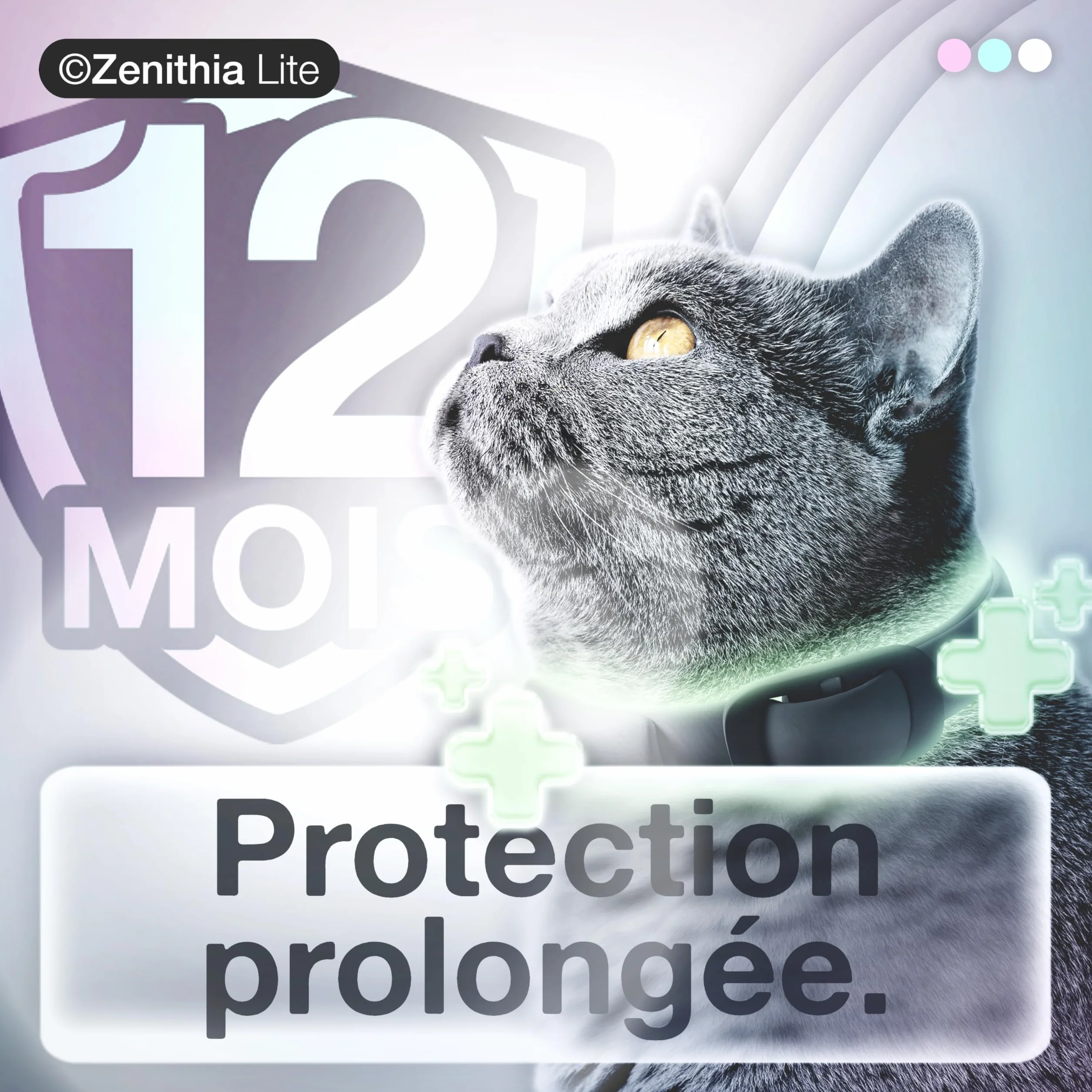 Collier Antiparasitaire Chat ZENITHIA Lite 48 cm Anti-Puces Tiques Moustiques 12 Mois Protection Étanche