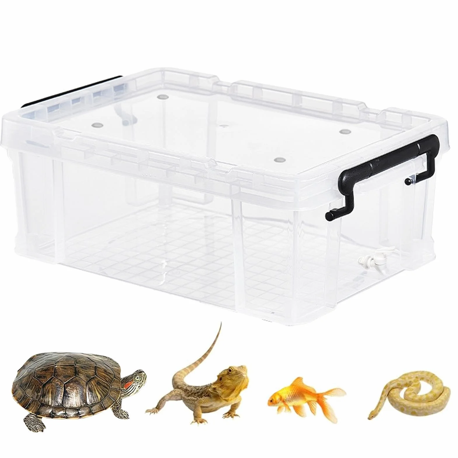 Bac Transparent pour Tortues Enclos de Repos pour Maison Appartement Bureau