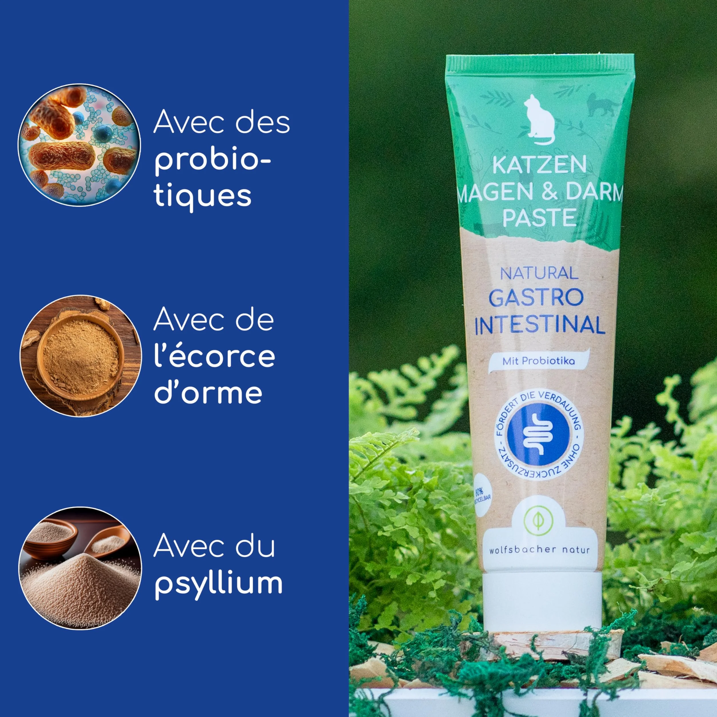 Pâte Gastro-Intestinale pour Chats avec Probiotiques & Écorce d'Orme 100g