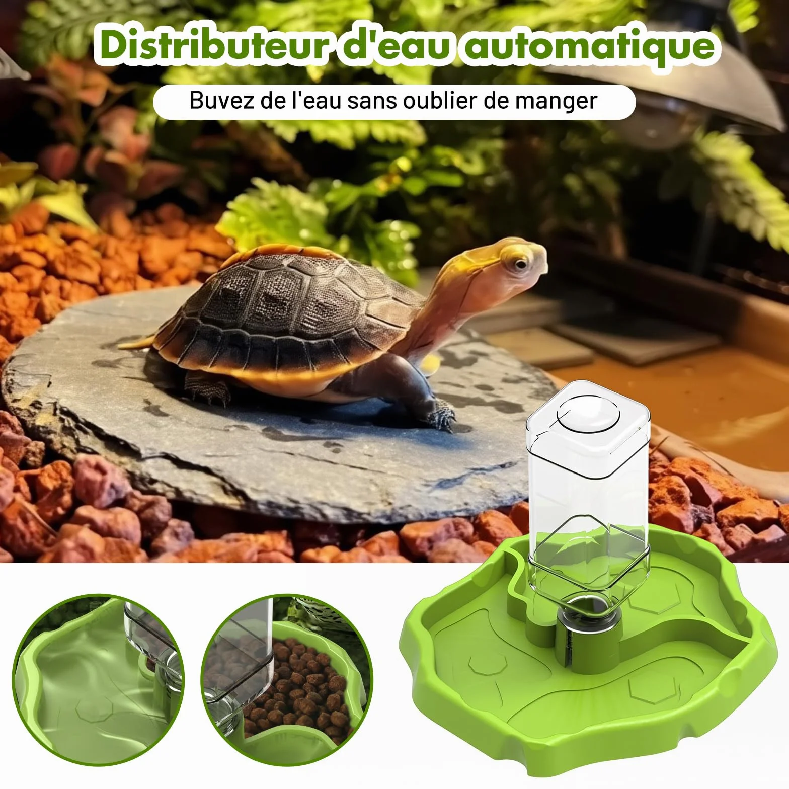 Sharplace Mangeoire pour Reptiles et Accessoires d'aquarium Conteneur Polyvalent Herbe Verte