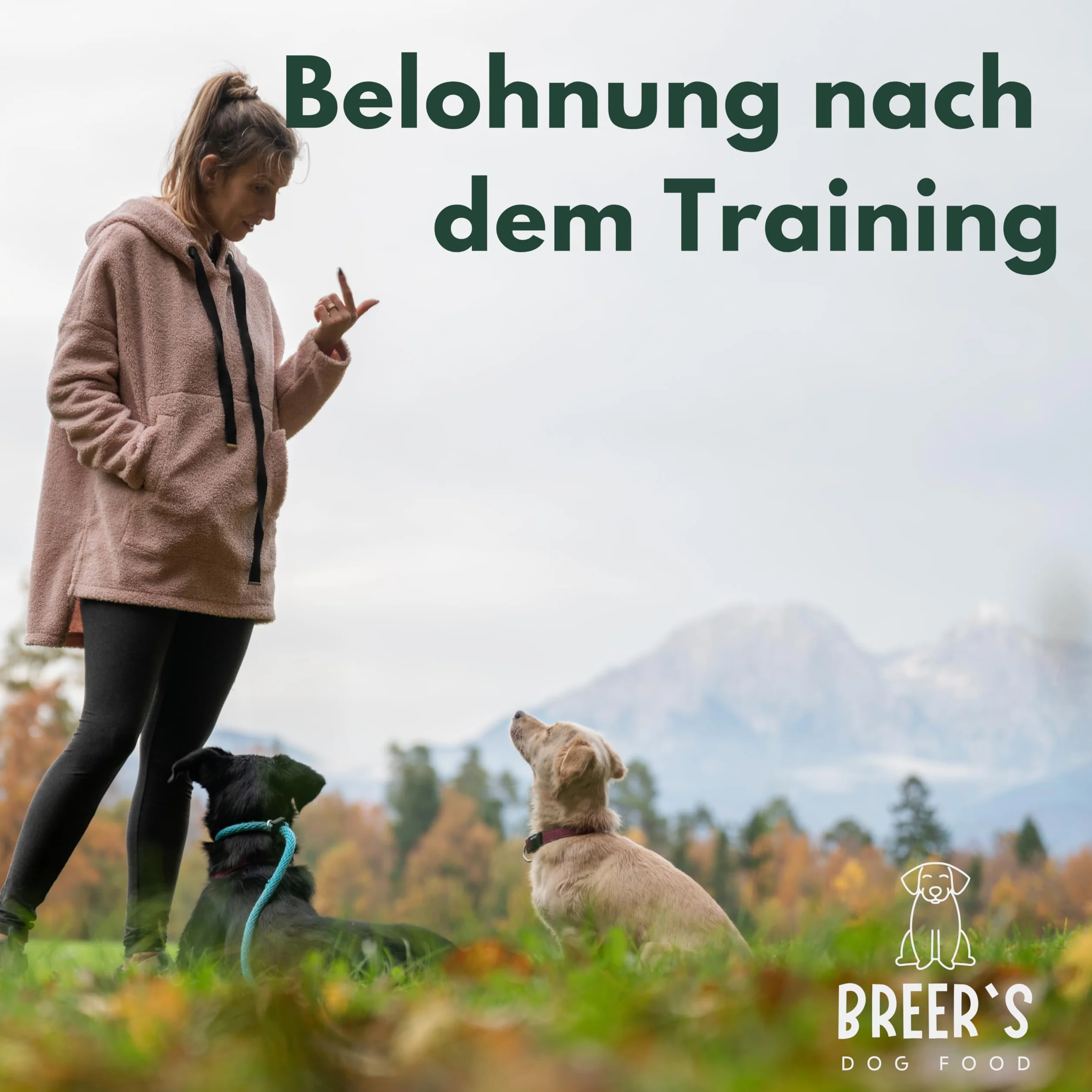 BREERs Oreilles de bœuf séchées avec coquillage pour chiens 2 kg