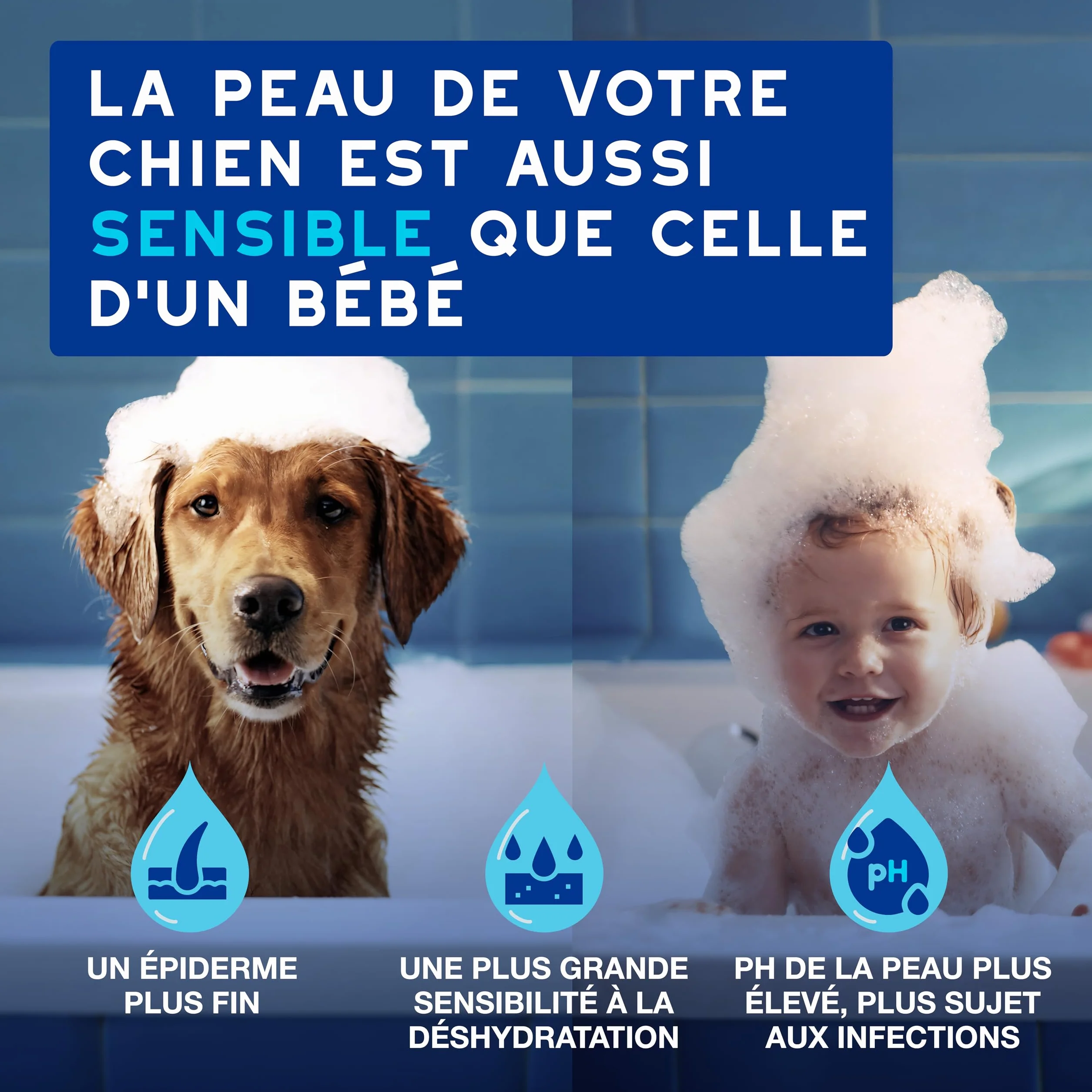 DOUXO Skin & Coat Spa - Ultra-Safe nettoyant auriculaire pour Chiens et Chats, 120 ML, nettoie l'oreille en Toute sécurité, Formule respectueuse de la Peau.