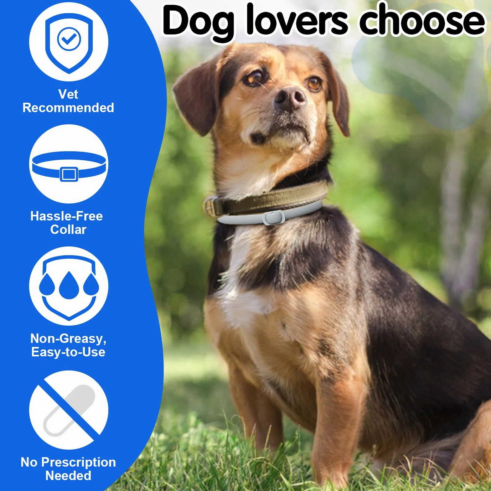 Collier Anti Puces pour Chien Naturel 24 Mois Réglable Imperméable 4pces