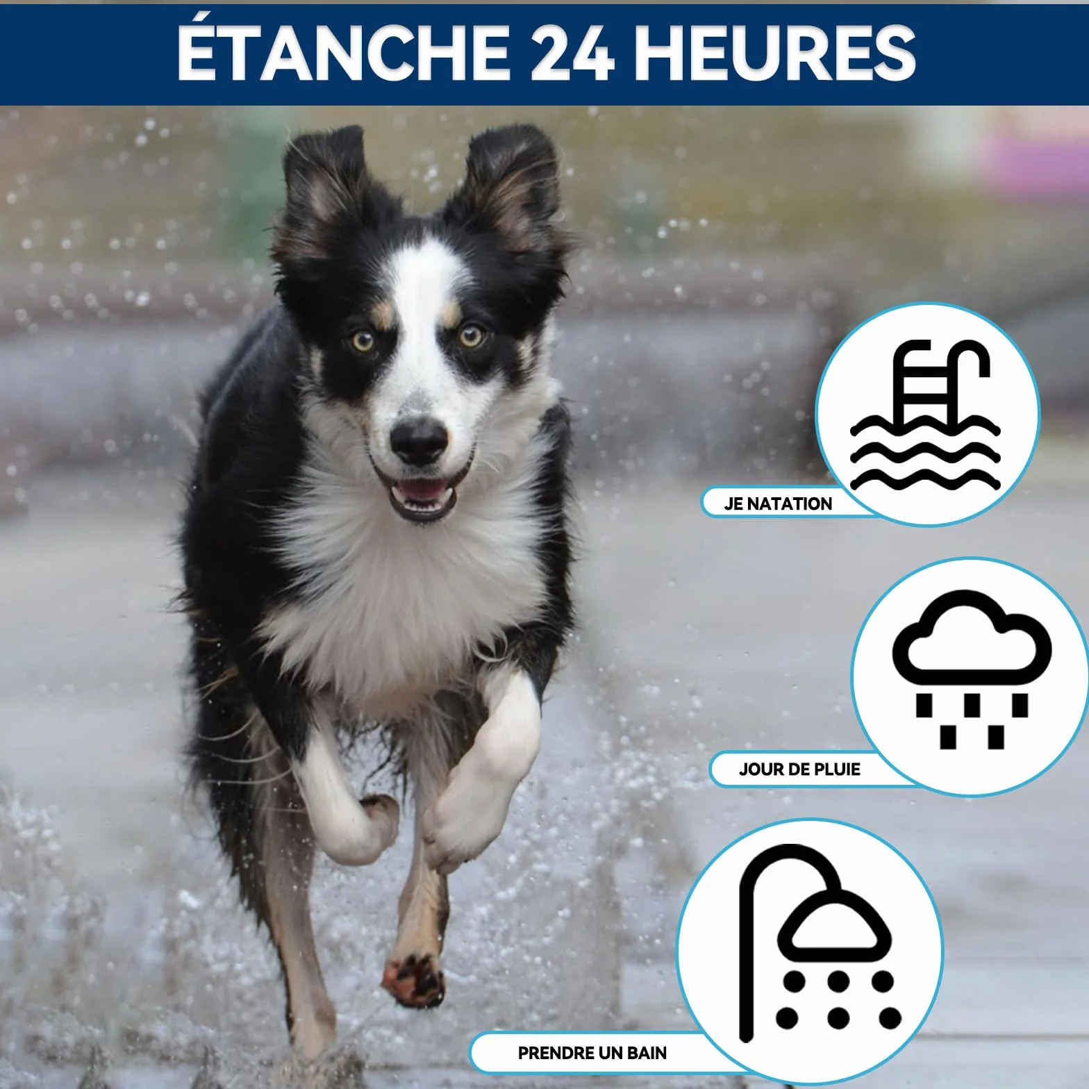 Collier Anti Puces pour Chien Réglable 63.5CM 2PACK, Résistant à l'eau, Huiles Essentielles 100% Naturelles