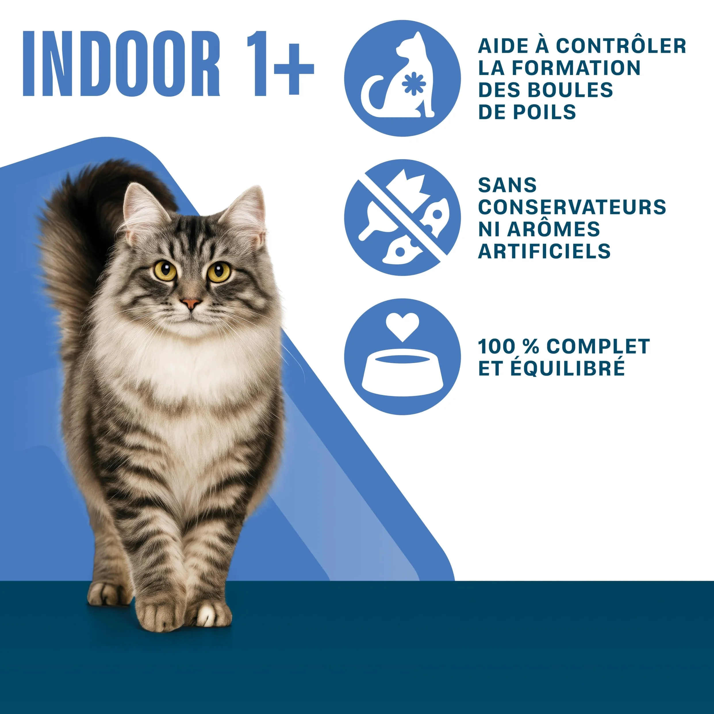 Sachet de Nourriture pour Chat Indoor 1+, 4 x 13 x 85 g au Poulet et aux Petits Pois/au Saumon et aux Carottes (Pack de 52)