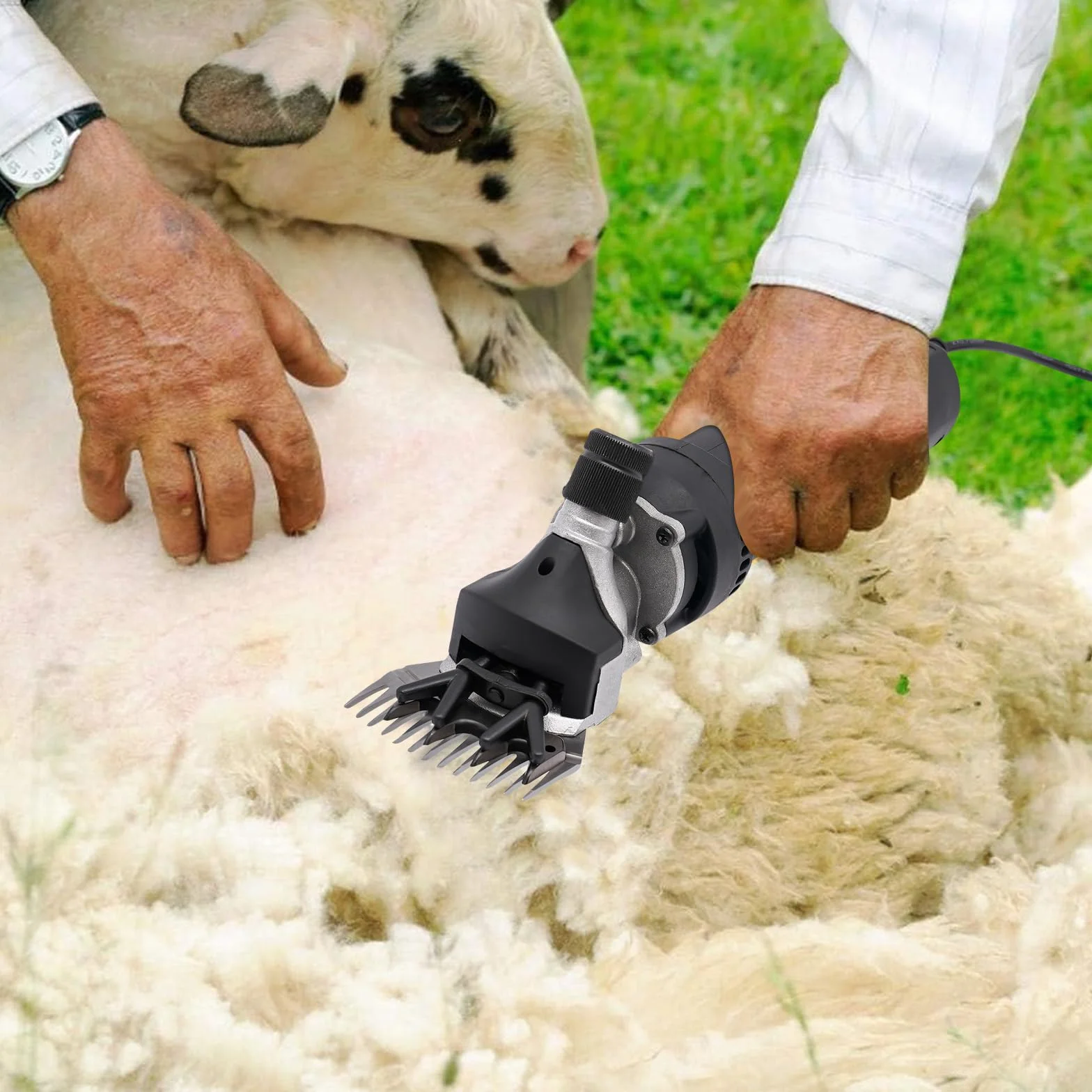 Tondeuse électrique pour moutons 350 W 3600 tr/min 220 V