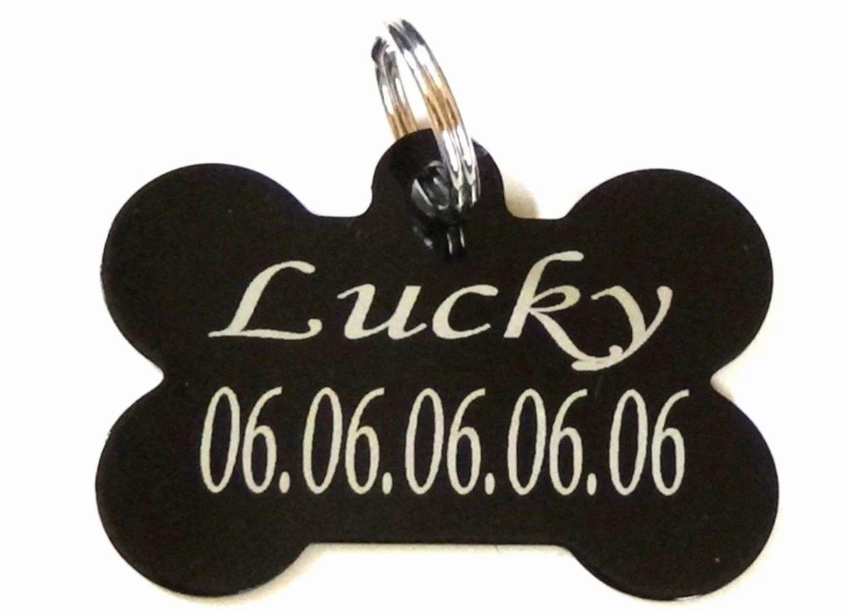 médaille chien et chat gravée personnalisée protection vernis +anneau différents coloris