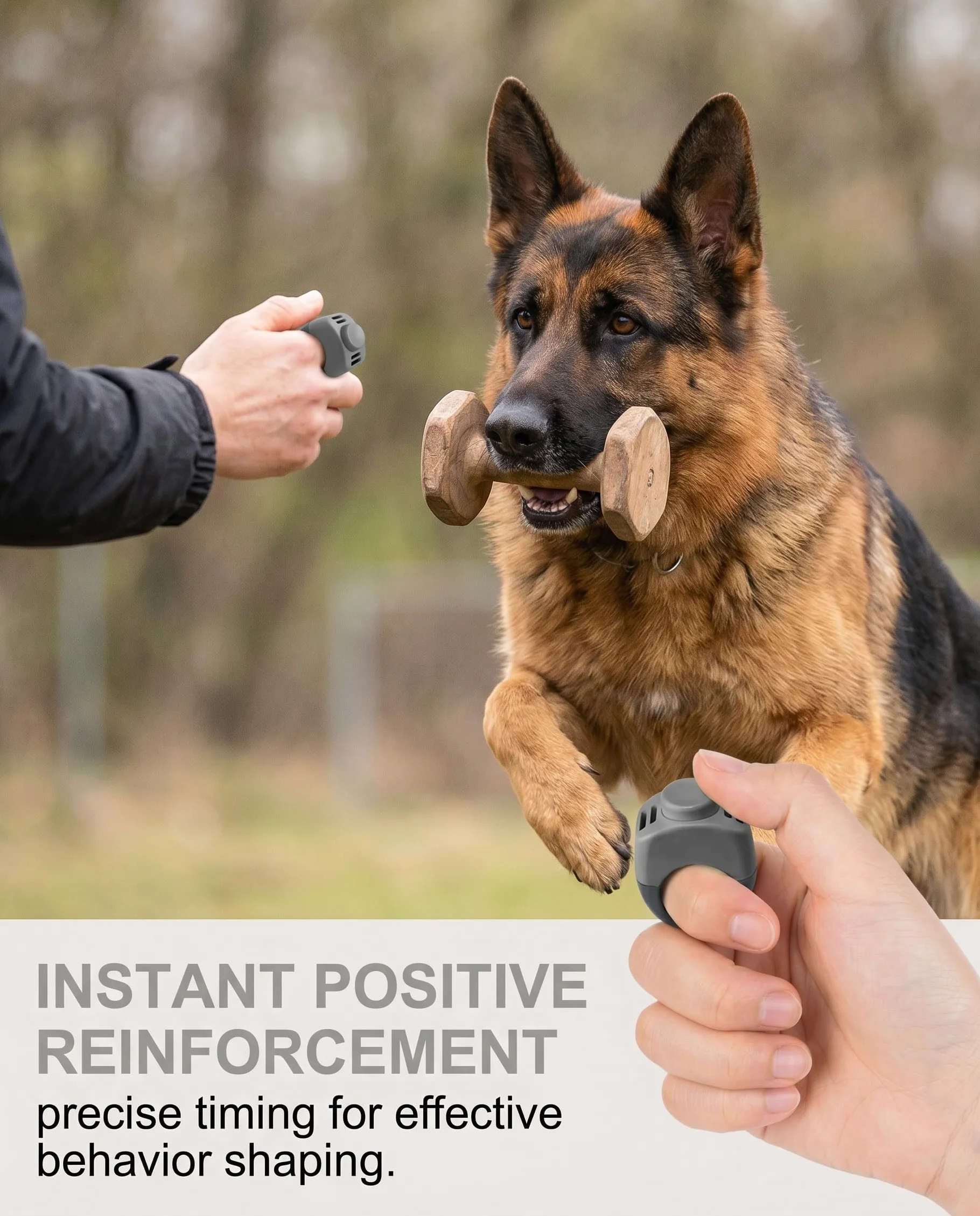 2 Clickers pour Chien avec Anneau de Doigt - Accessoire Pratique pour l'Éducation des Chiens, Chats et Chevaux (19mm/21mm) (Gris)