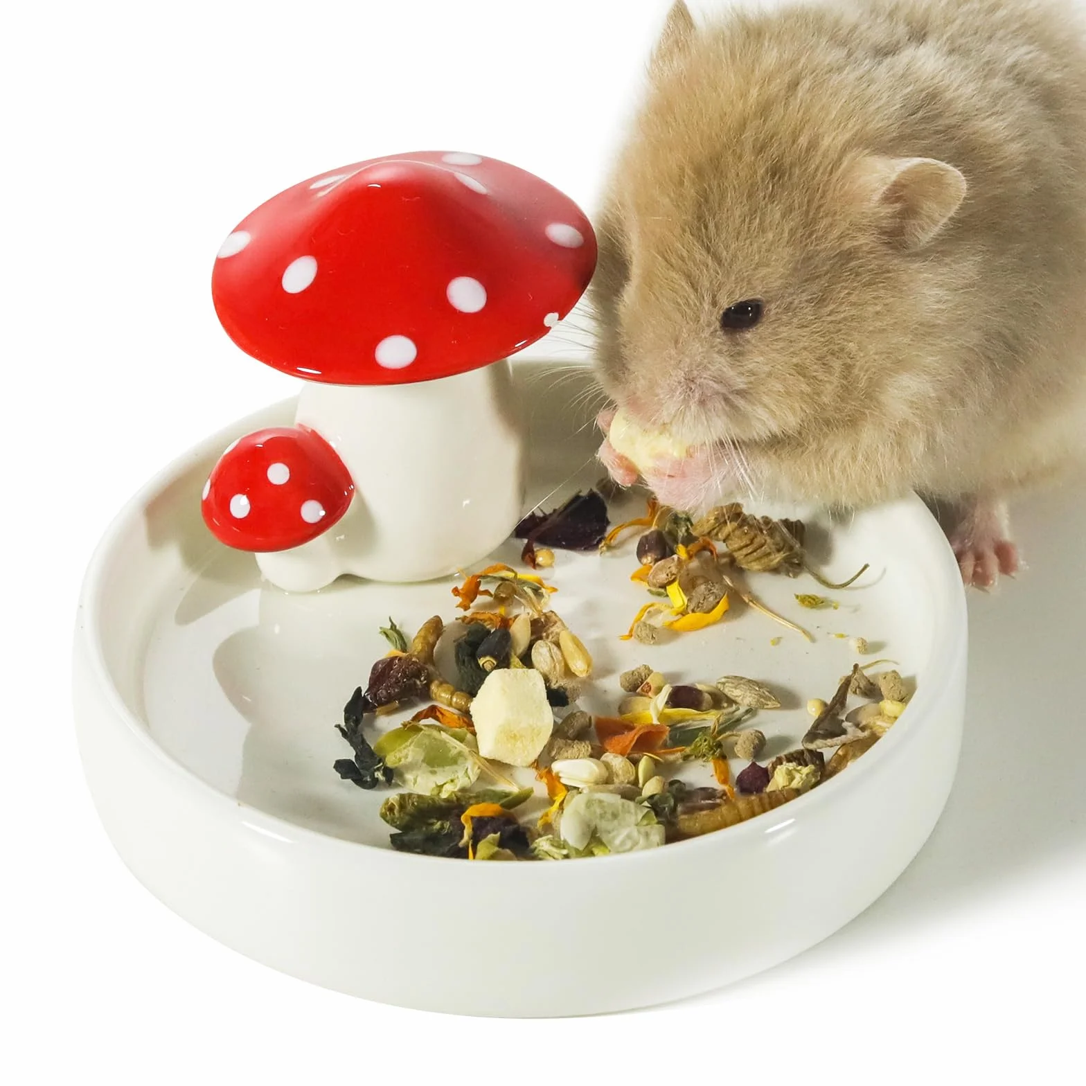 Niteangel Gamelle hamster céramique champignon pour hamsters syriens nains gerbilles souris rats petits animaux
