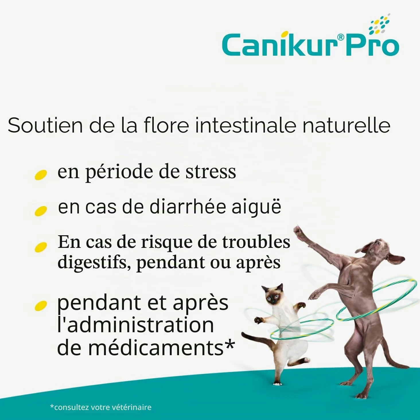 Boehringer Ingelheim Canikur Pro Pâte anti-diarrhée pour chiens et chats 3 x 30 ml