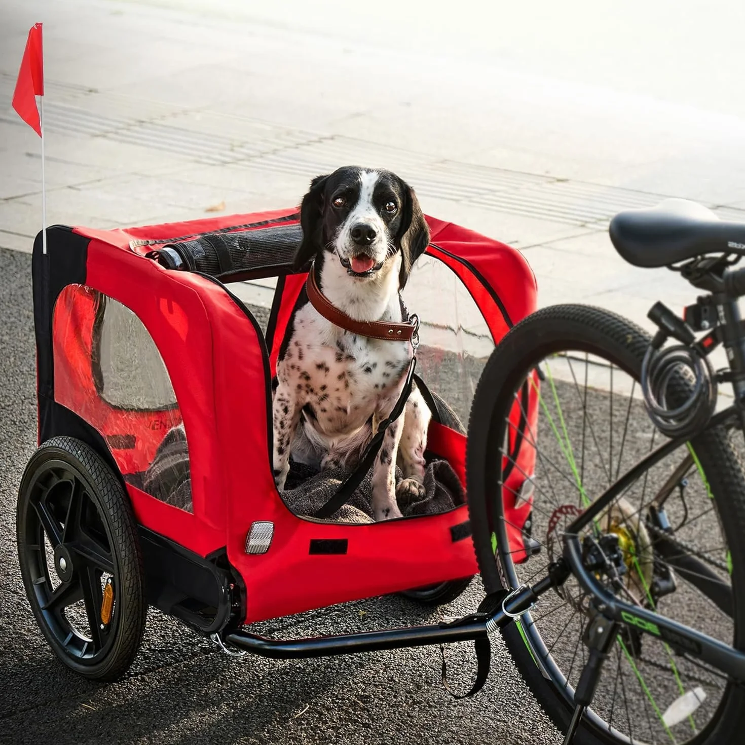 Sogesfurniture Remorque pour chien pour vélo pliable toile Oxford 600D avec embrayage