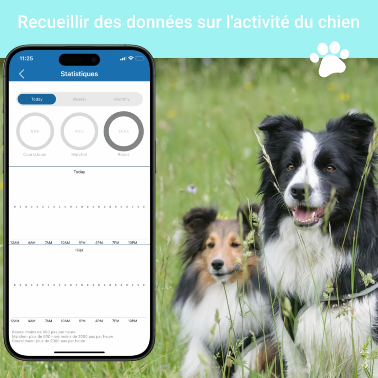 Collier GPS 4G TK919 Pro pour Chien Traceur Anti-Fugue Étanche Moniteur d'Activité