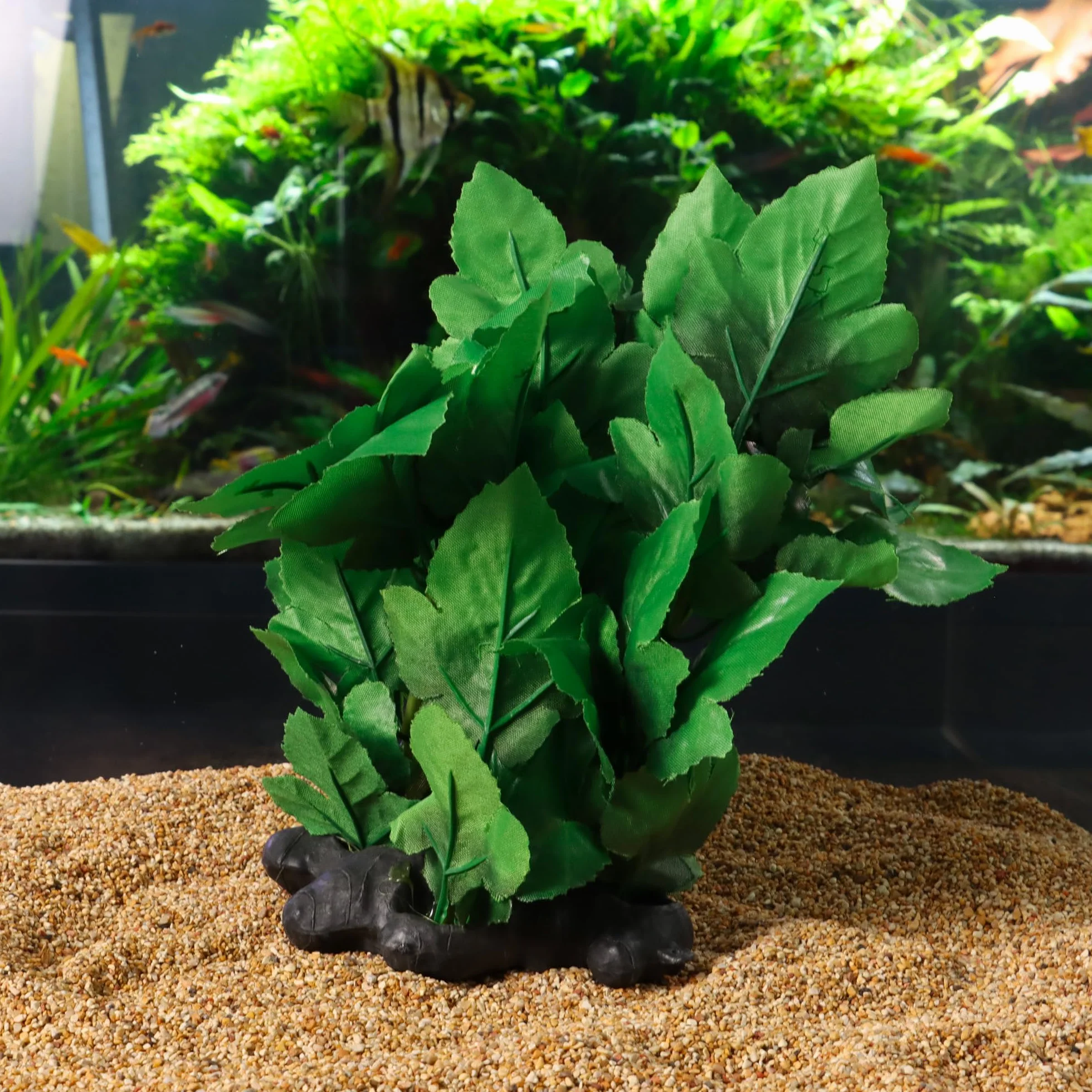 Amtra Wave Hygrophila Plante Réplique 30 cm