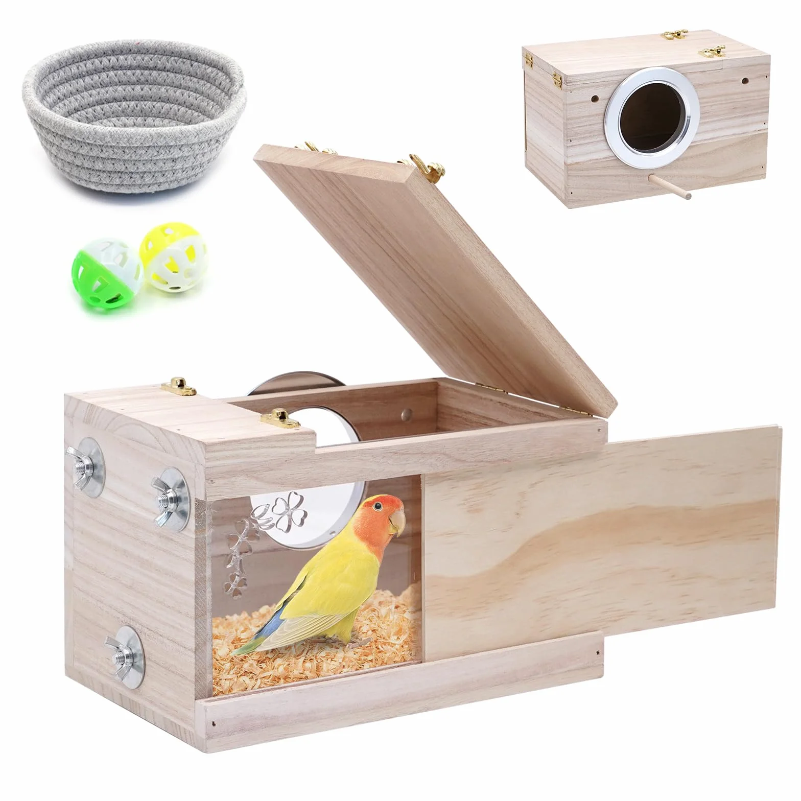 Nichoir transparent perruche perchoir bois fenêtre visualisation