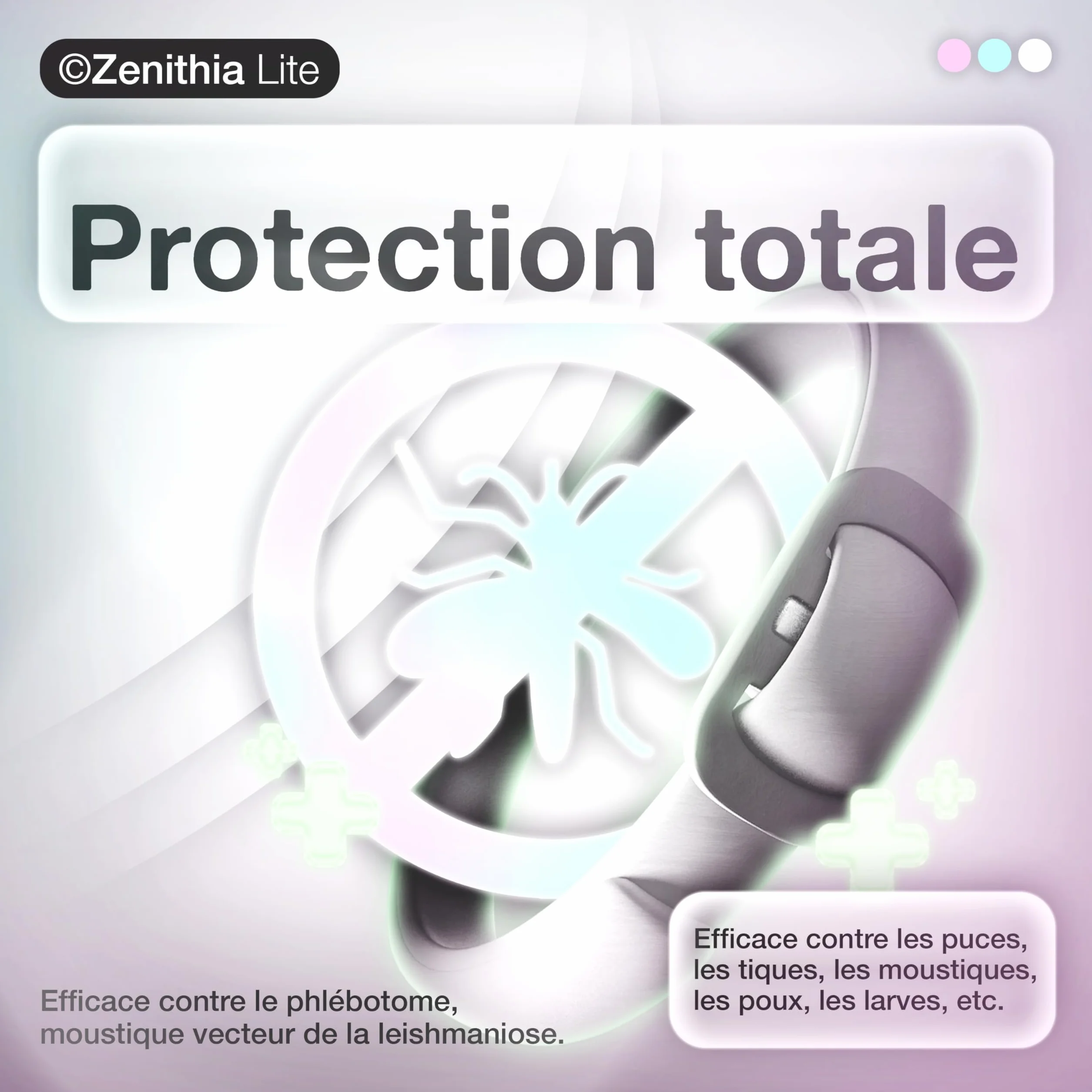 Collier Antiparasitaire Chat ZENITHIA Lite 48 cm Anti-Puces Tiques Moustiques 12 Mois Protection Étanche