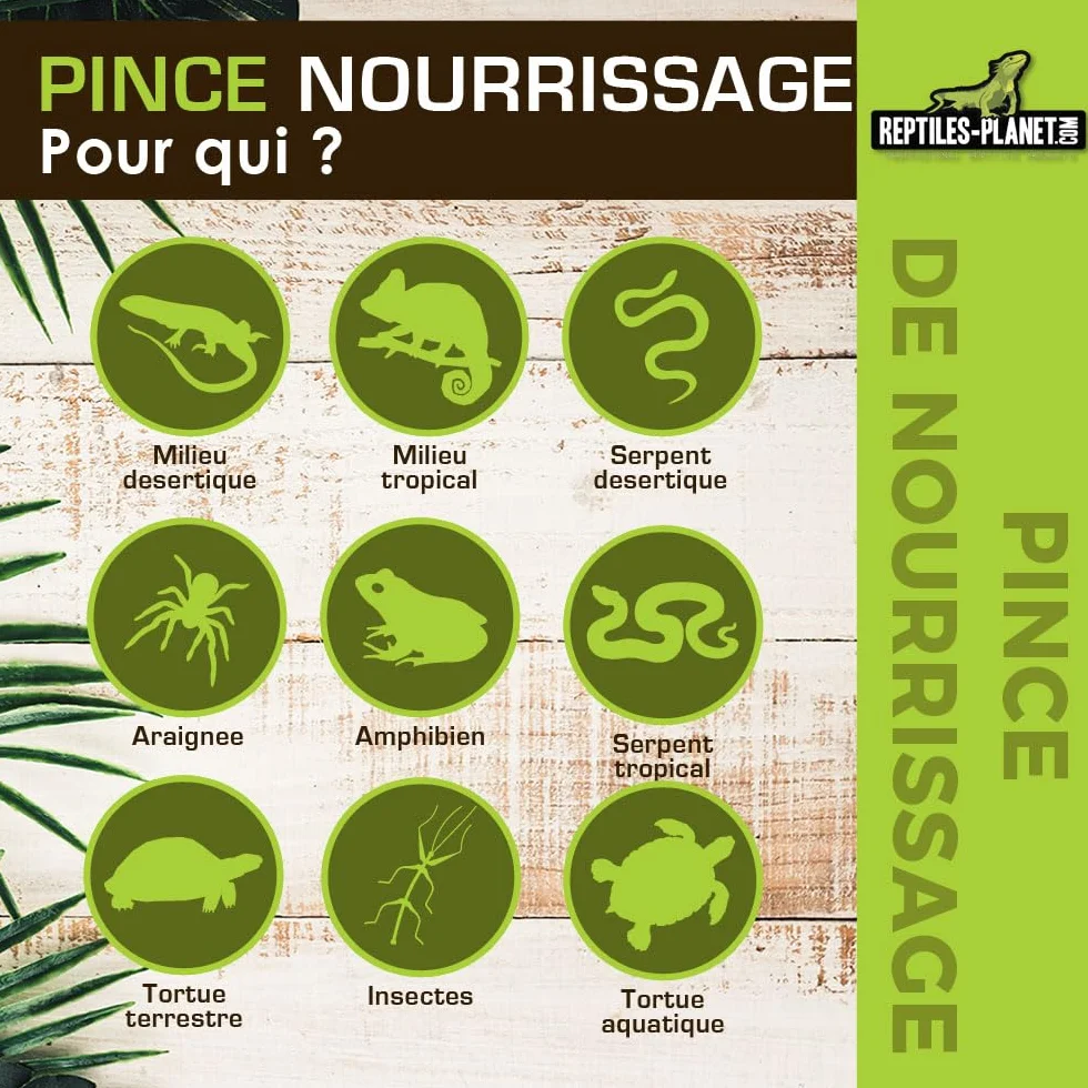 Reptiles Planet - Pince de Nourrissage pour Reptiles - 20,5 cm