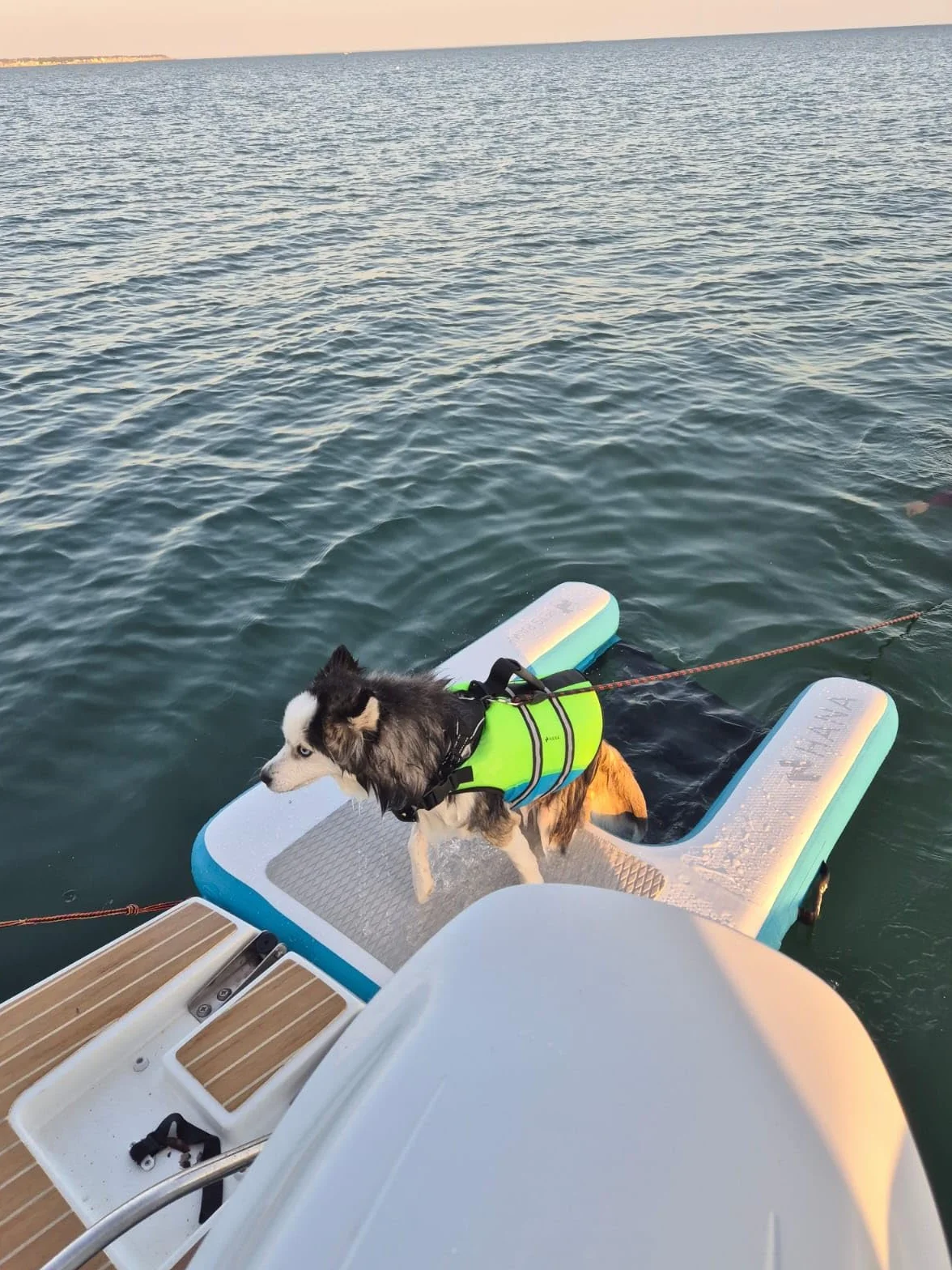 HANA Rampe de Sortie d’Eau Gonflable pour Chiens 150x100x15cm Plateforme Flottante Dropstitch Haute Résistance Filet Antidérapant