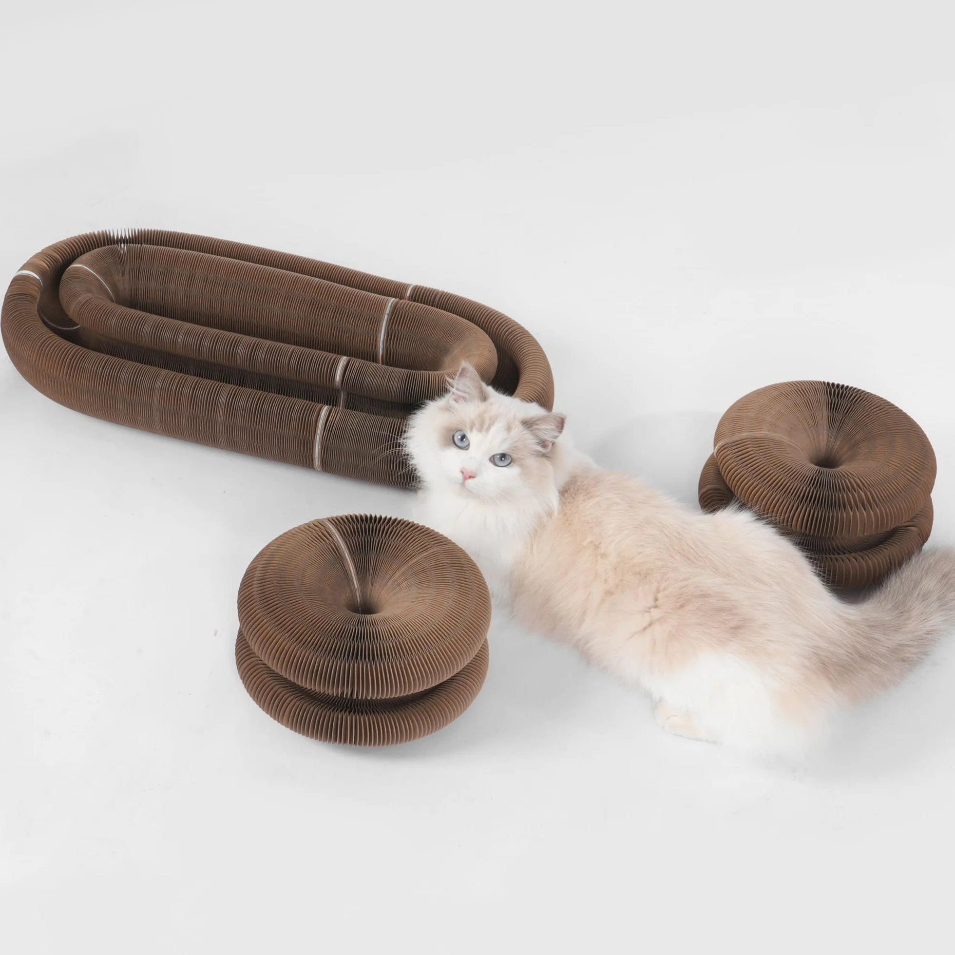 Griffoir pour Chat Magique Organ en Carton avec Balle Jouet Interactif et Circuit de Jeu Evolutif