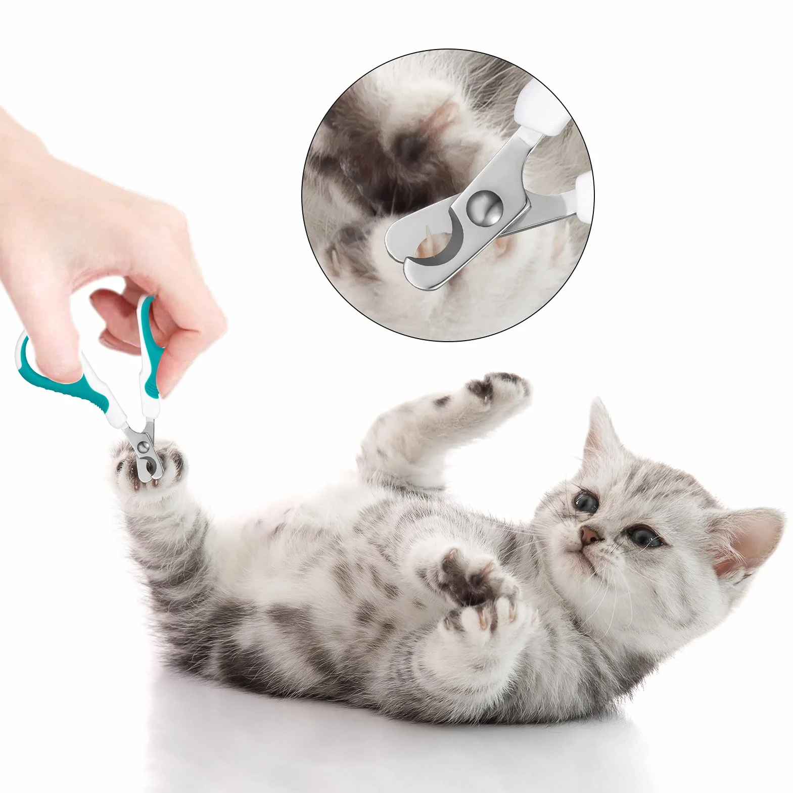 SUSSURRO Coupe Griffes Chat Professionnels, Ciseaux à Ongles Courbe en Acier Inoxydable pour Chiots et Chatons